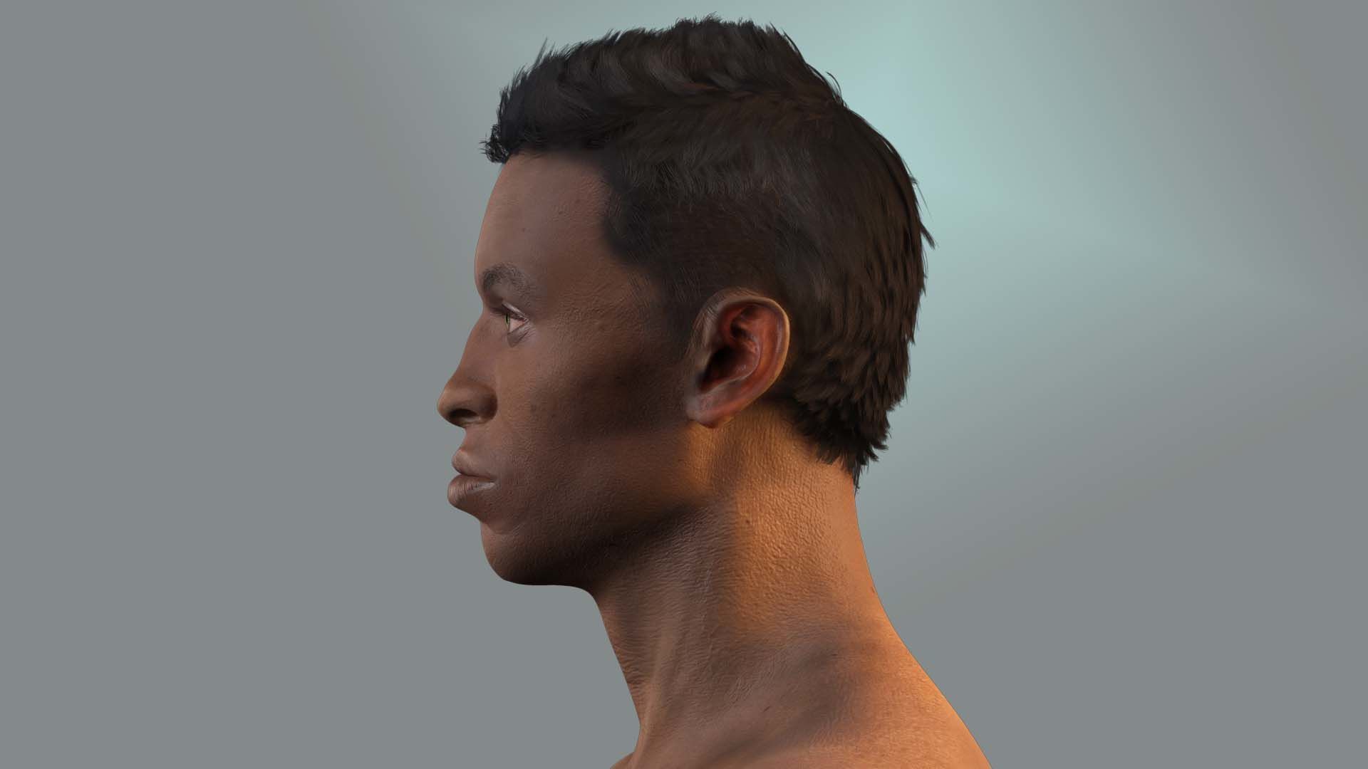 Realistic Construction Worker in Safety Gear Low-poly 3D model_4