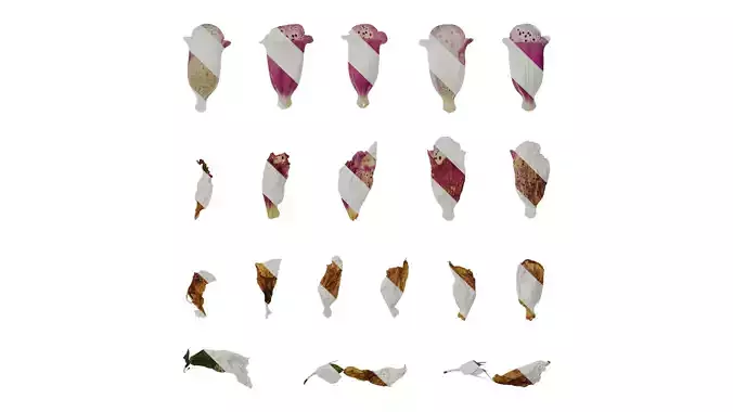 Anydrafts Digitalis purpurea Flower 11