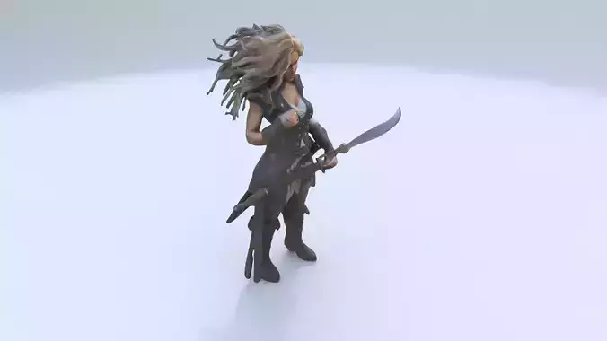 Stormrider Pirate 3D model