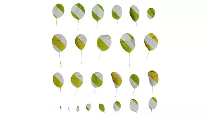 Anydrafts Cotinus coggygria Leaf 05