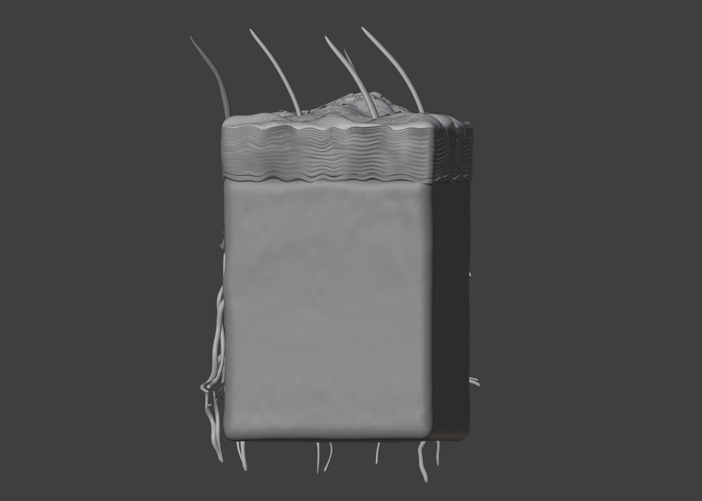 3D Model of Psoriasis Skin - Cross Section 3D print model_12