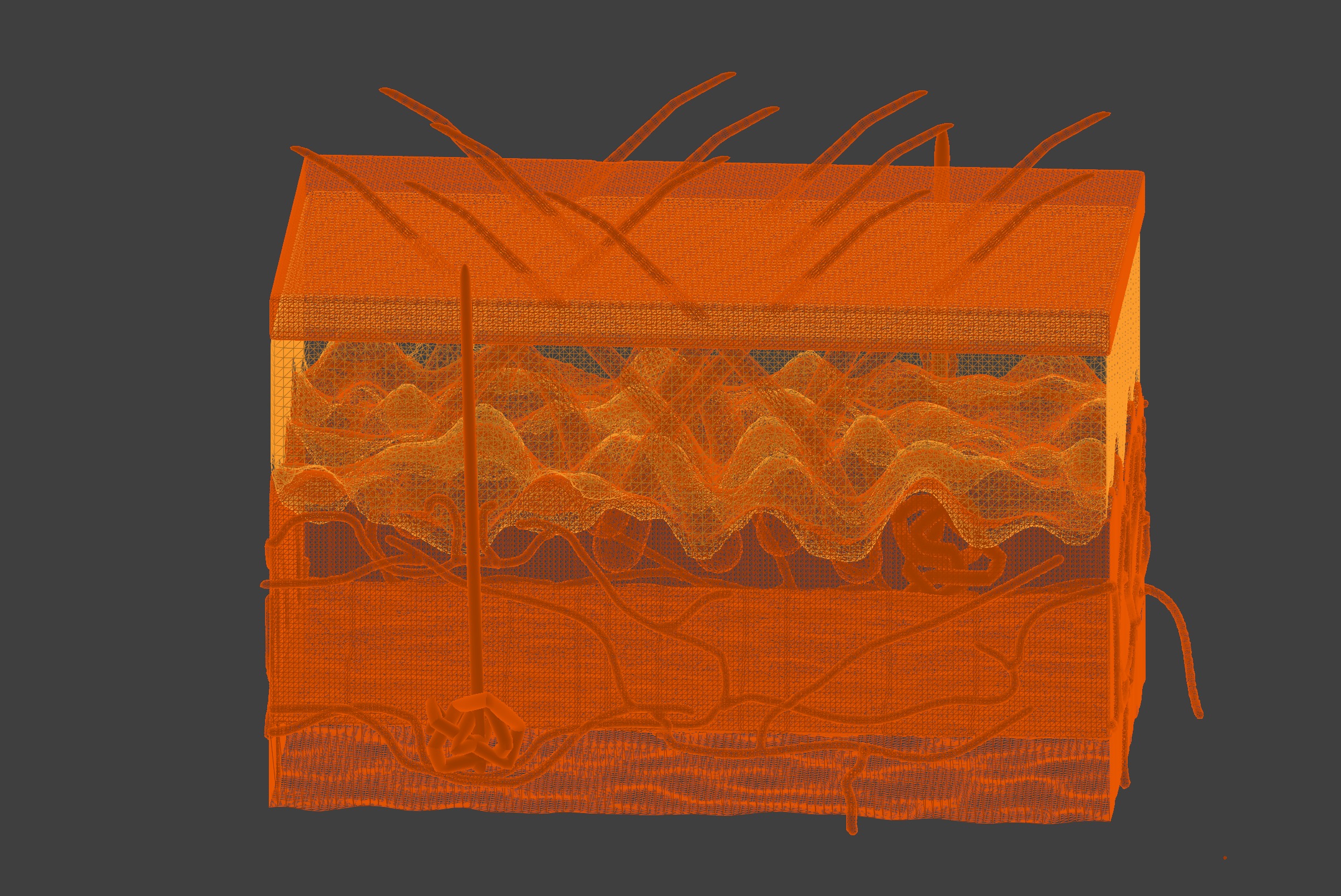 3D Model of Anatomy of the Skin v2 3D print model_5