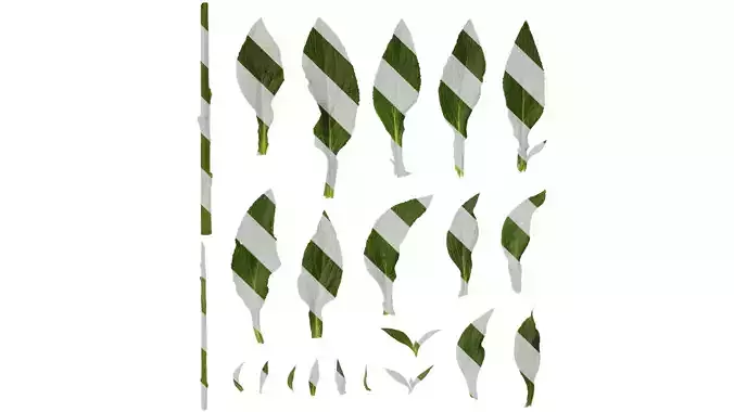 Anydrafts Digitalis purpurea Leaf 01