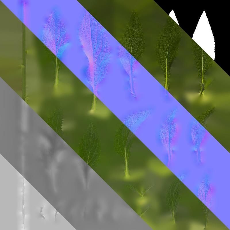 Anydrafts Digitalis purpurea Leaf 01 Texture_8