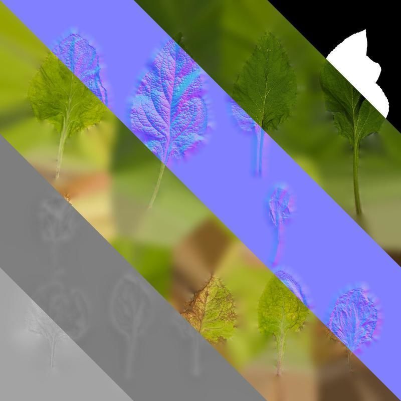 Anydrafts Digitalis purpurea Leaf 03 Texture_8