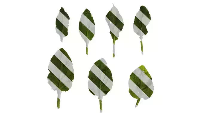 Anydrafts Digitalis purpurea Leaf 05