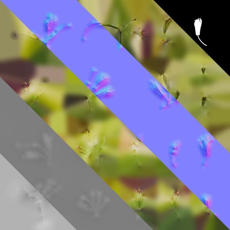 Anydrafts Disporum longistylum Flower 02 Texture_8