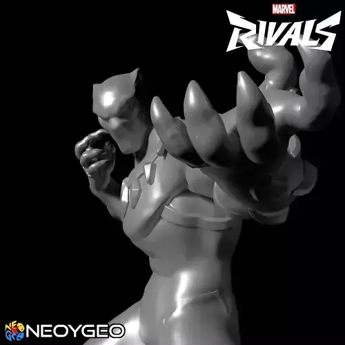 BLACK PANTHER - MARVEL RIVALS