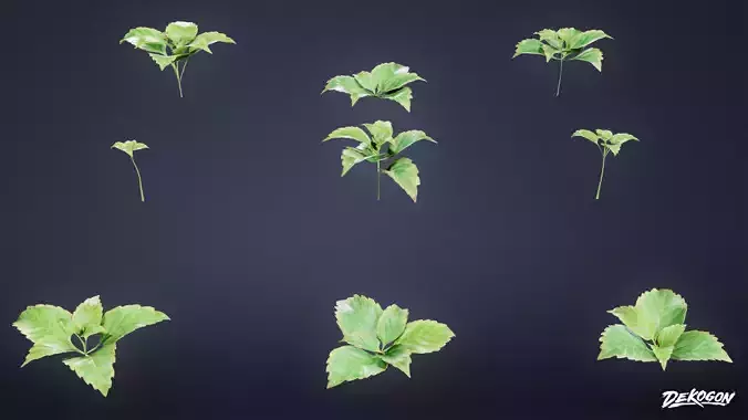 FOLIAGE - Allegheny Spurge 01 - LOW POLY