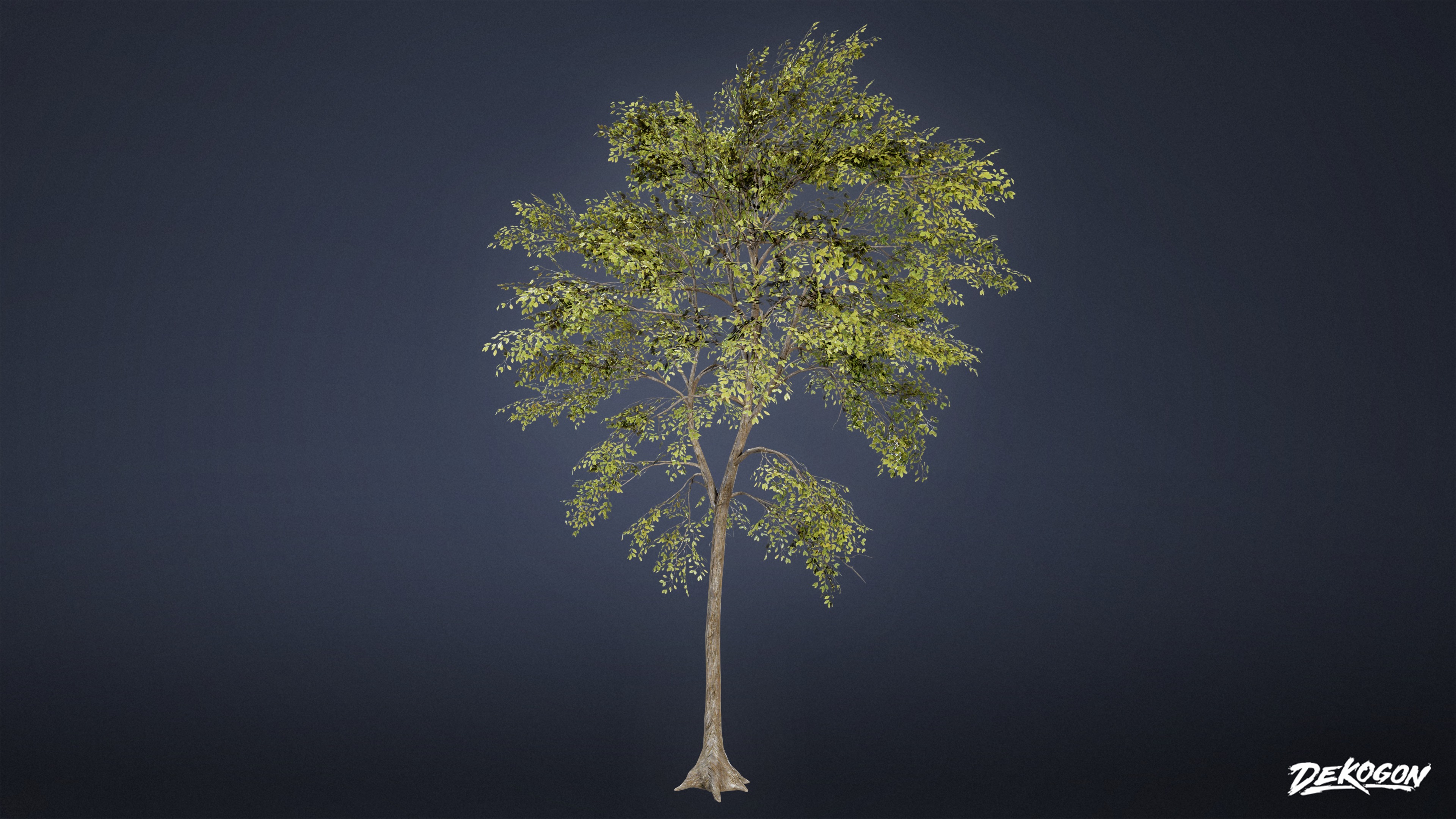 FOLIAGE - Beatified Ash Trees 01 - LOW POLY Low-poly 3D model_4