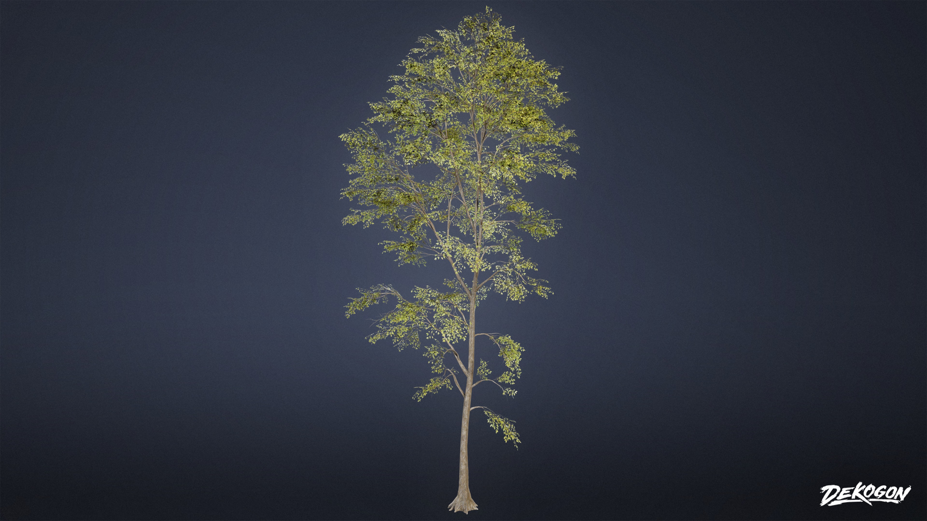 FOLIAGE - Beatified Ash Trees 01 - LOW POLY Low-poly 3D model_6
