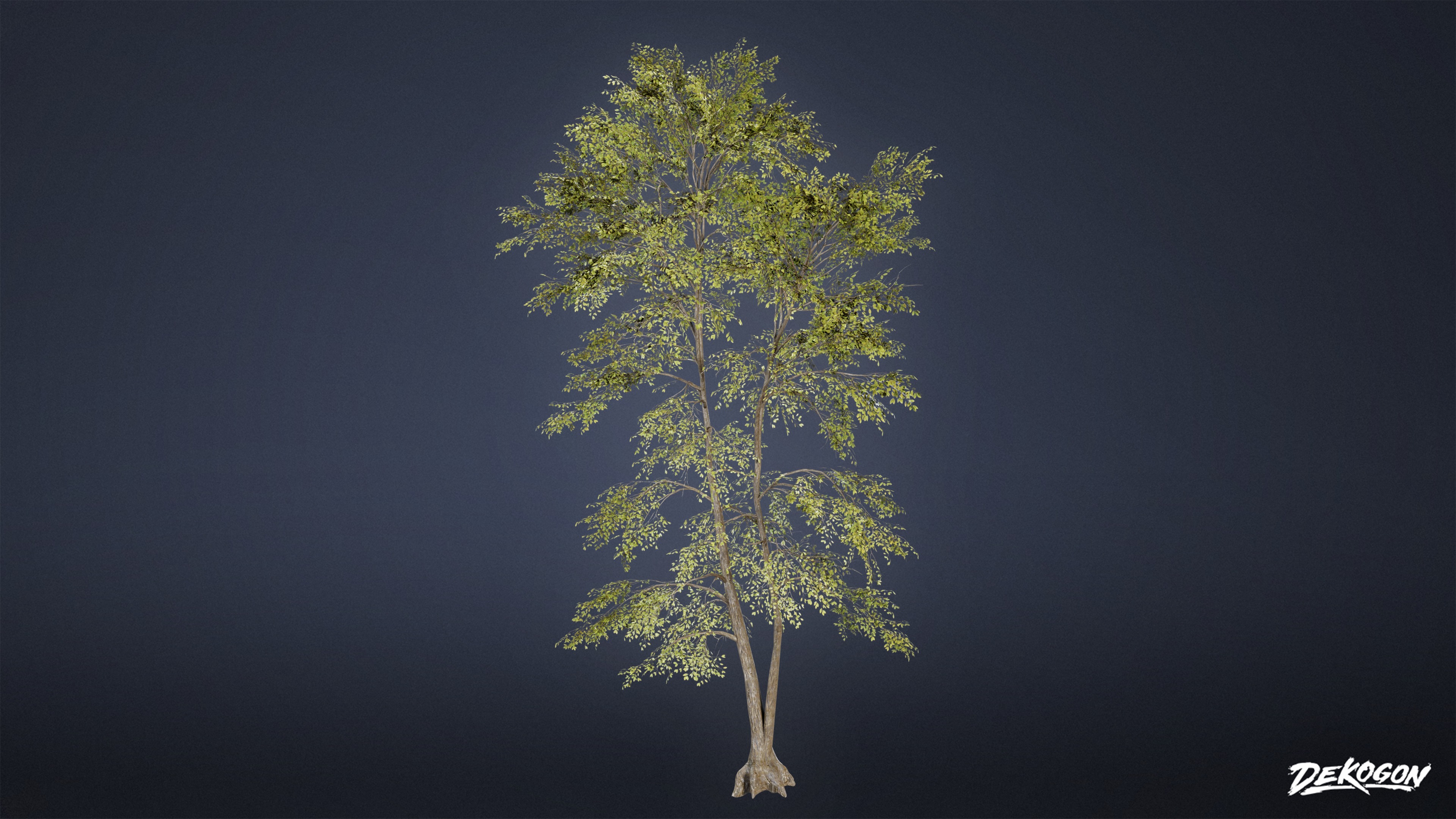 FOLIAGE - Beatified Ash Trees 01 - LOW POLY Low-poly 3D model_3