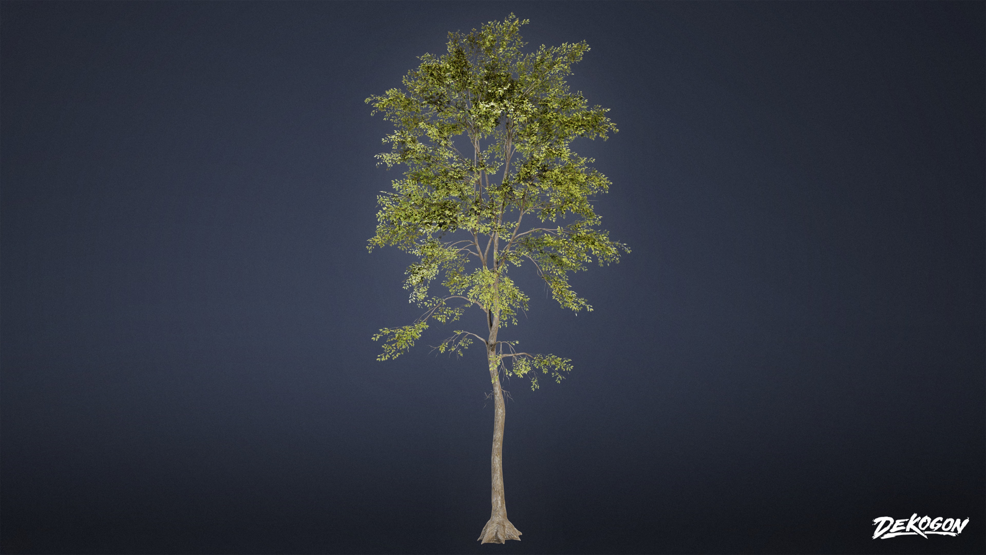 FOLIAGE - Beatified Ash Trees 01 - LOW POLY Low-poly 3D model_1