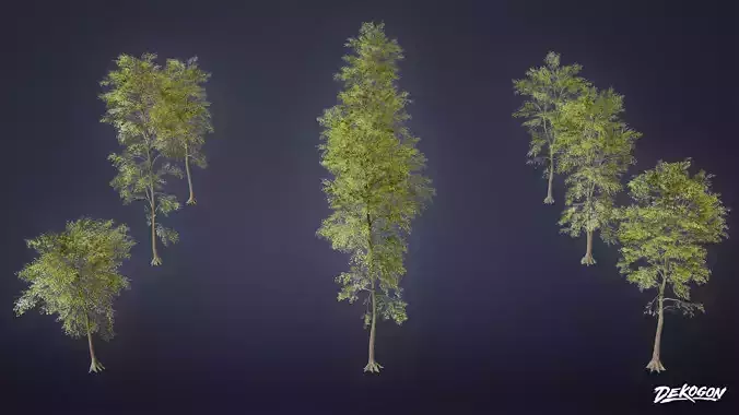 FOLIAGE - Beatified Ash Trees 01 - LOW POLY