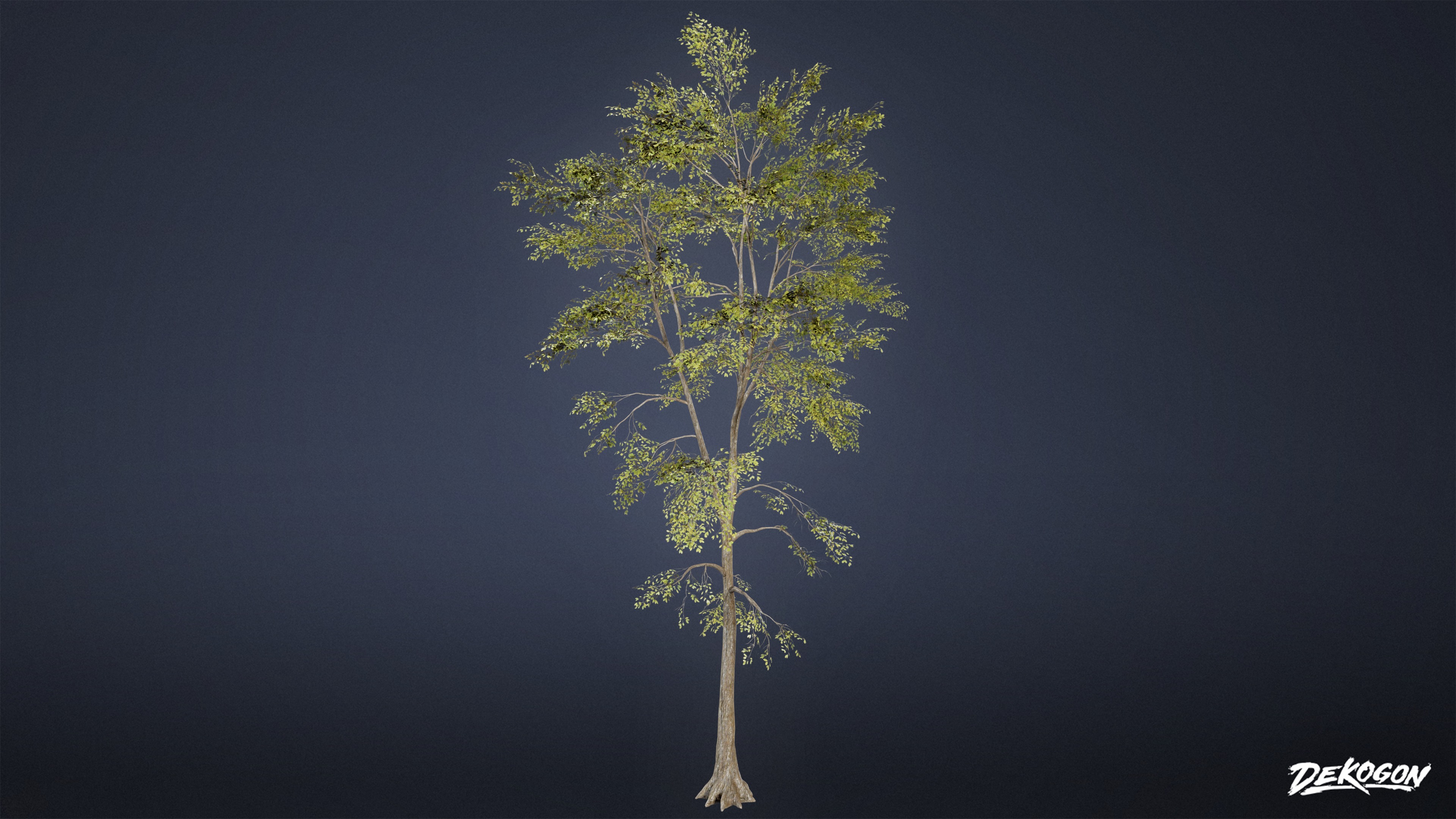 FOLIAGE - Beatified Ash Trees 01 - LOW POLY Low-poly 3D model_2