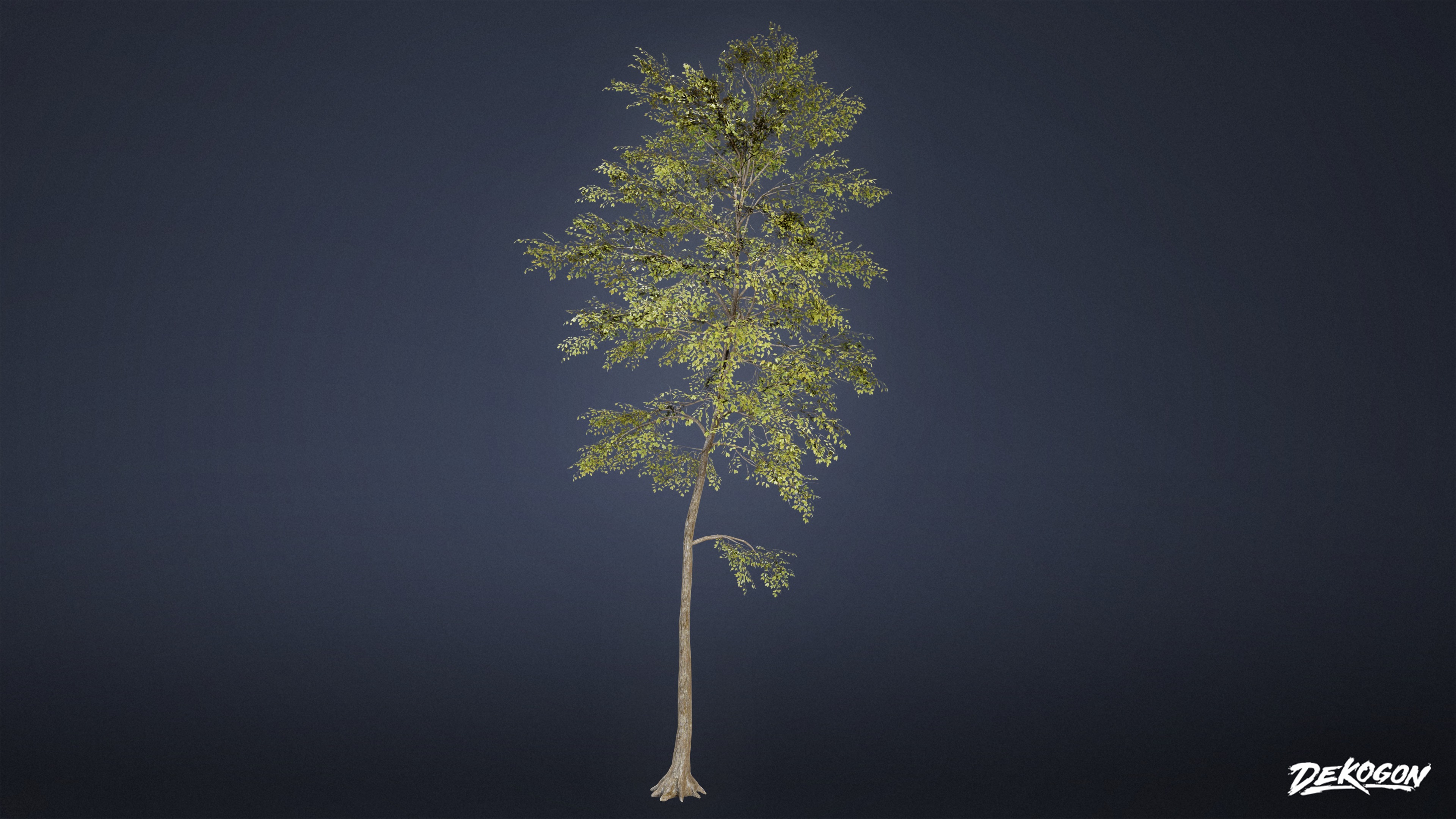 FOLIAGE - Beatified Ash Trees 01 - LOW POLY Low-poly 3D model_5