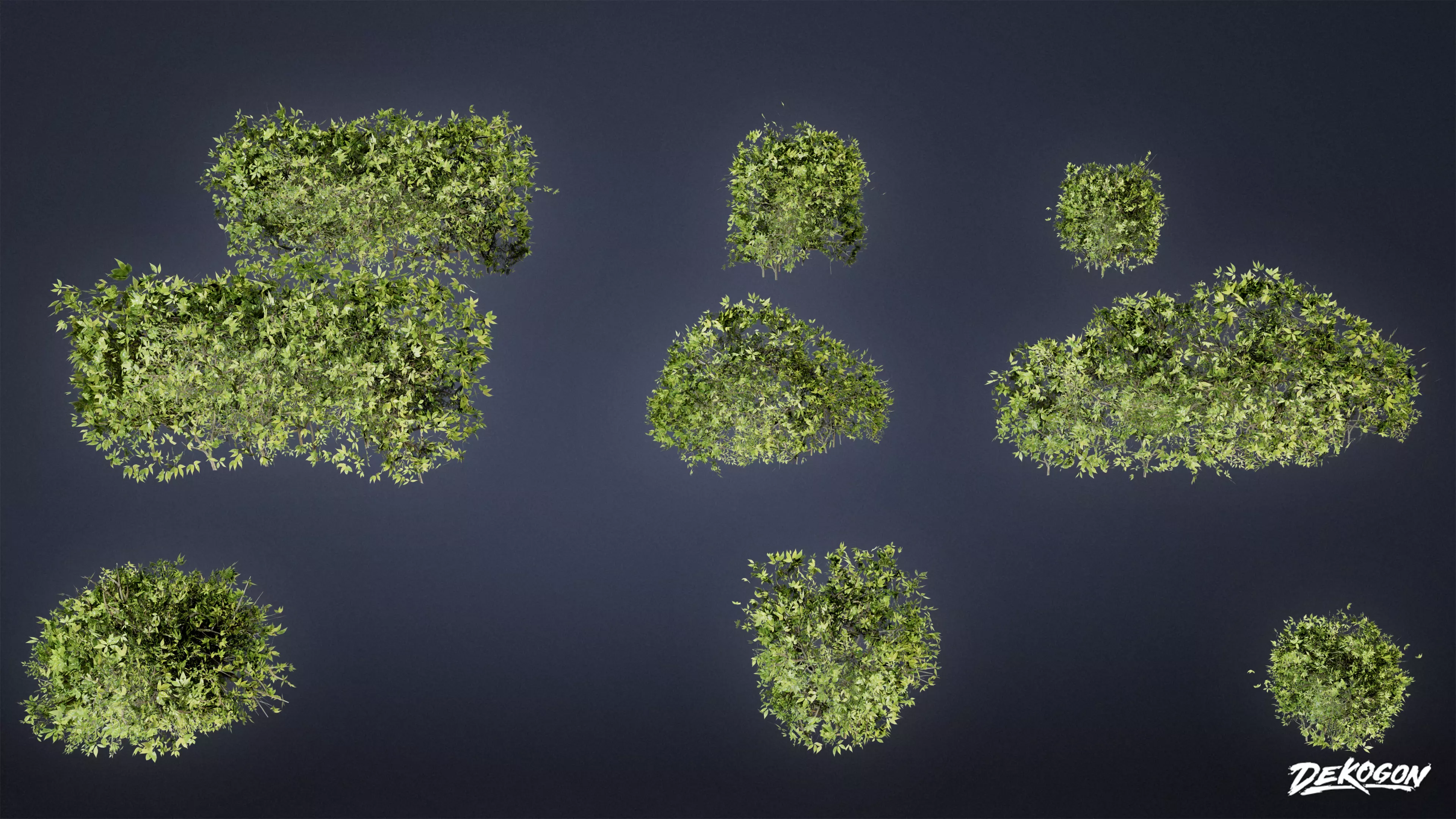 FOLIAGE - Boxwood 01 - LOW POLY Low-poly 3D model_0