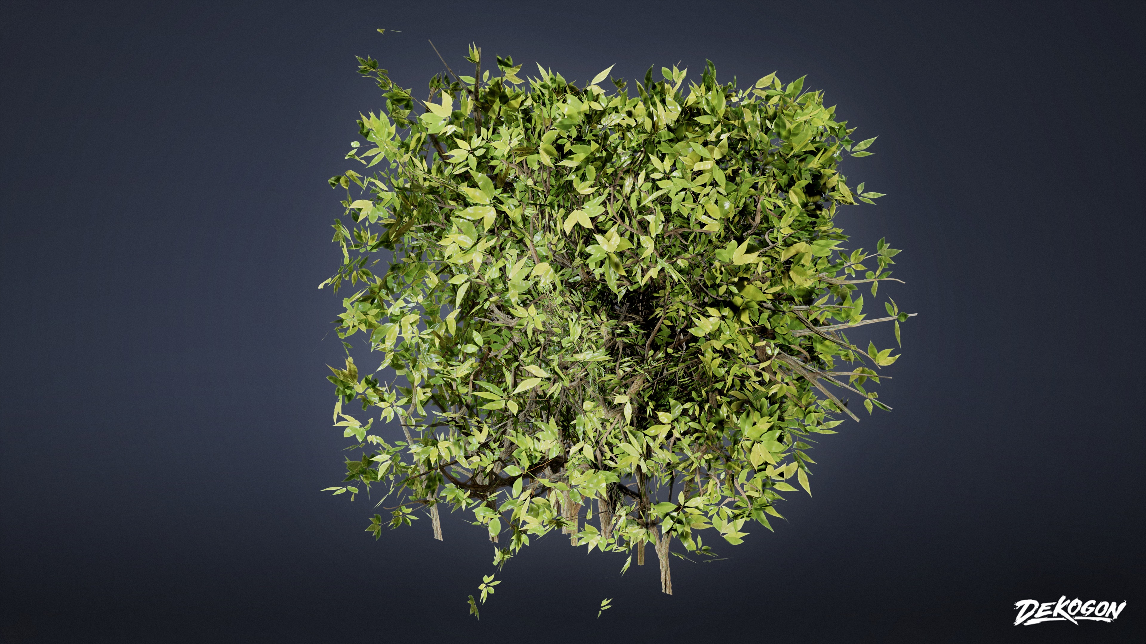 FOLIAGE - Boxwood 01 - LOW POLY Low-poly 3D model_5