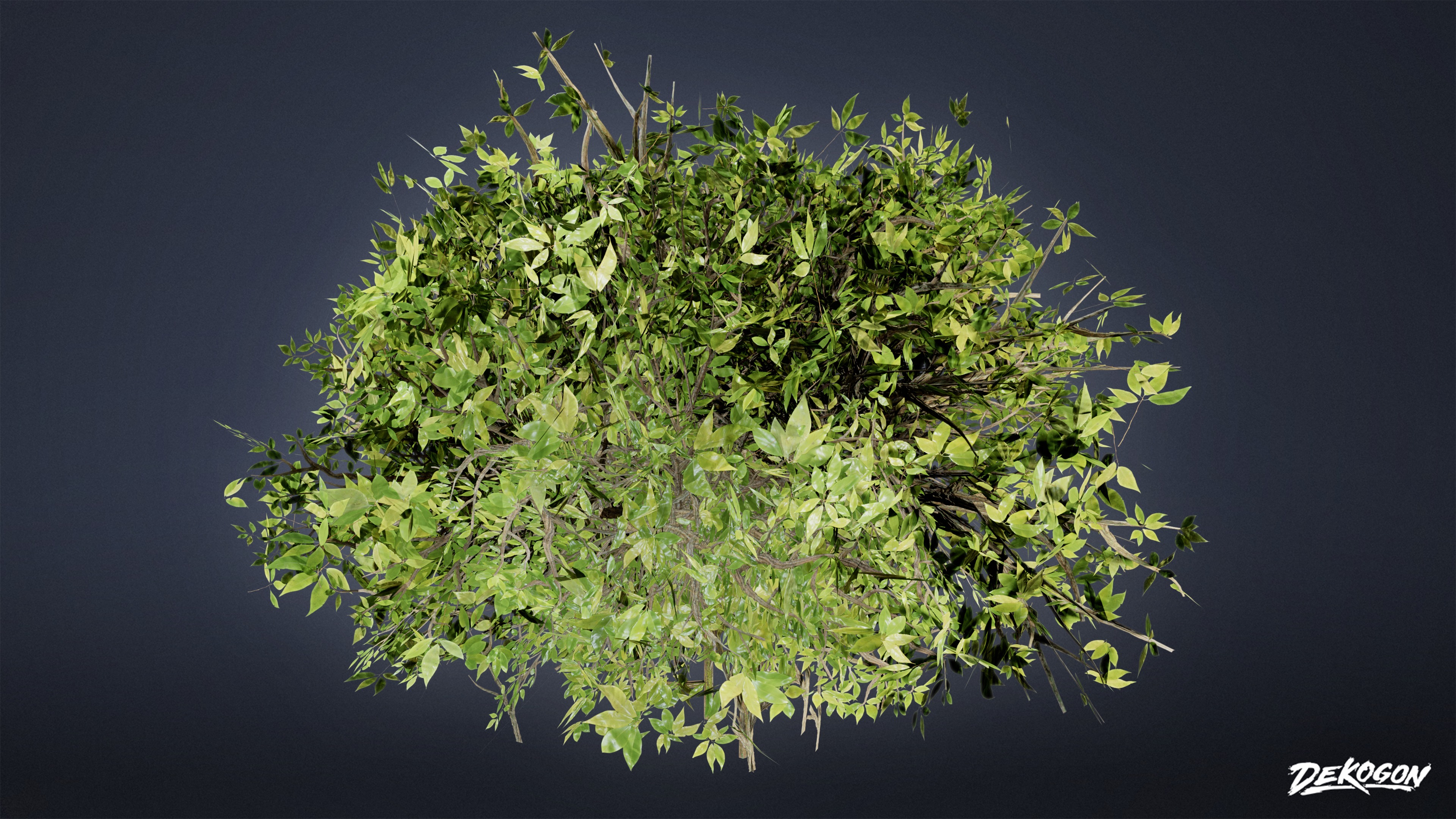 FOLIAGE - Boxwood 01 - LOW POLY Low-poly 3D model_1