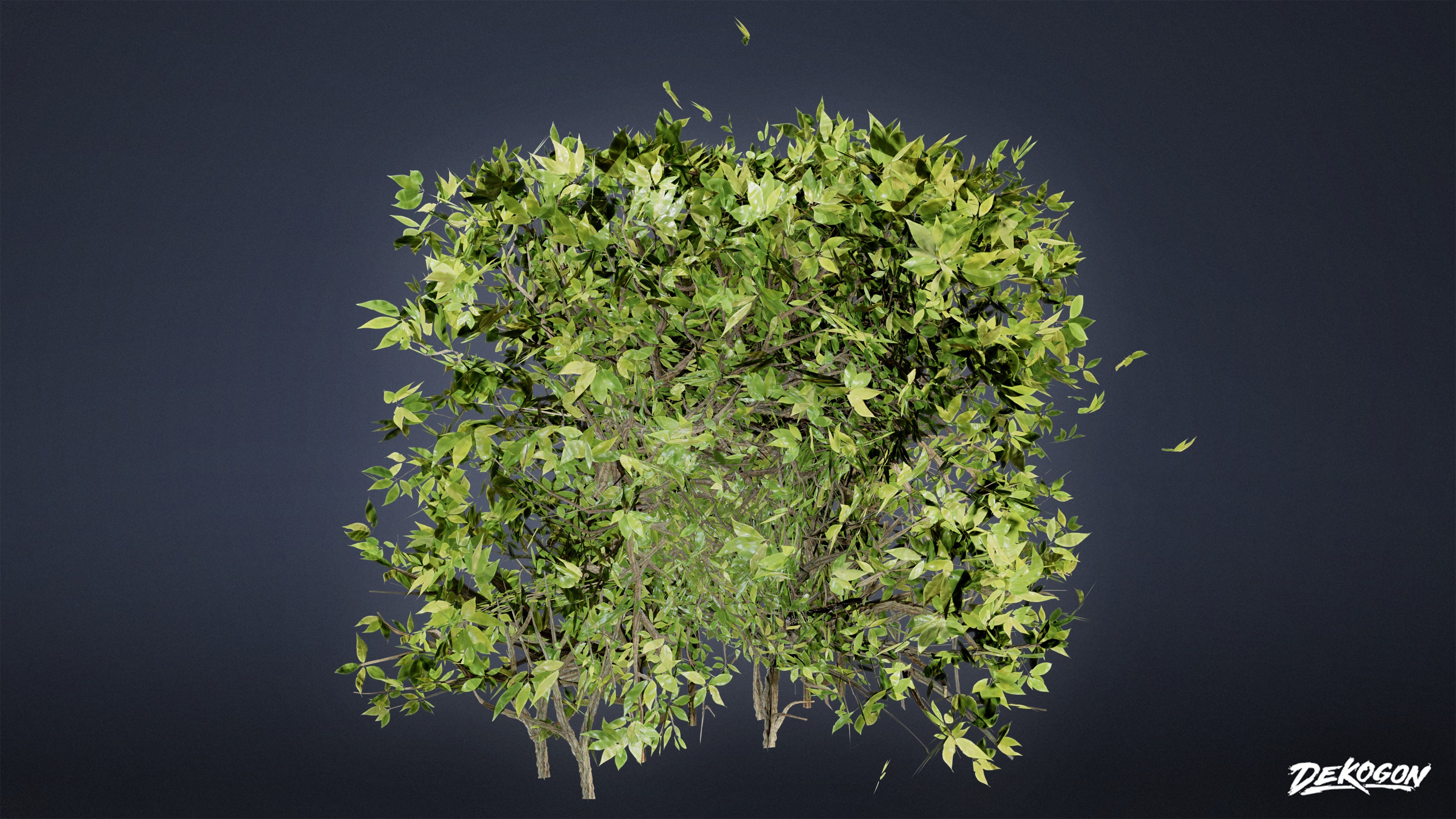 FOLIAGE - Boxwood 01 - LOW POLY Low-poly 3D model_6