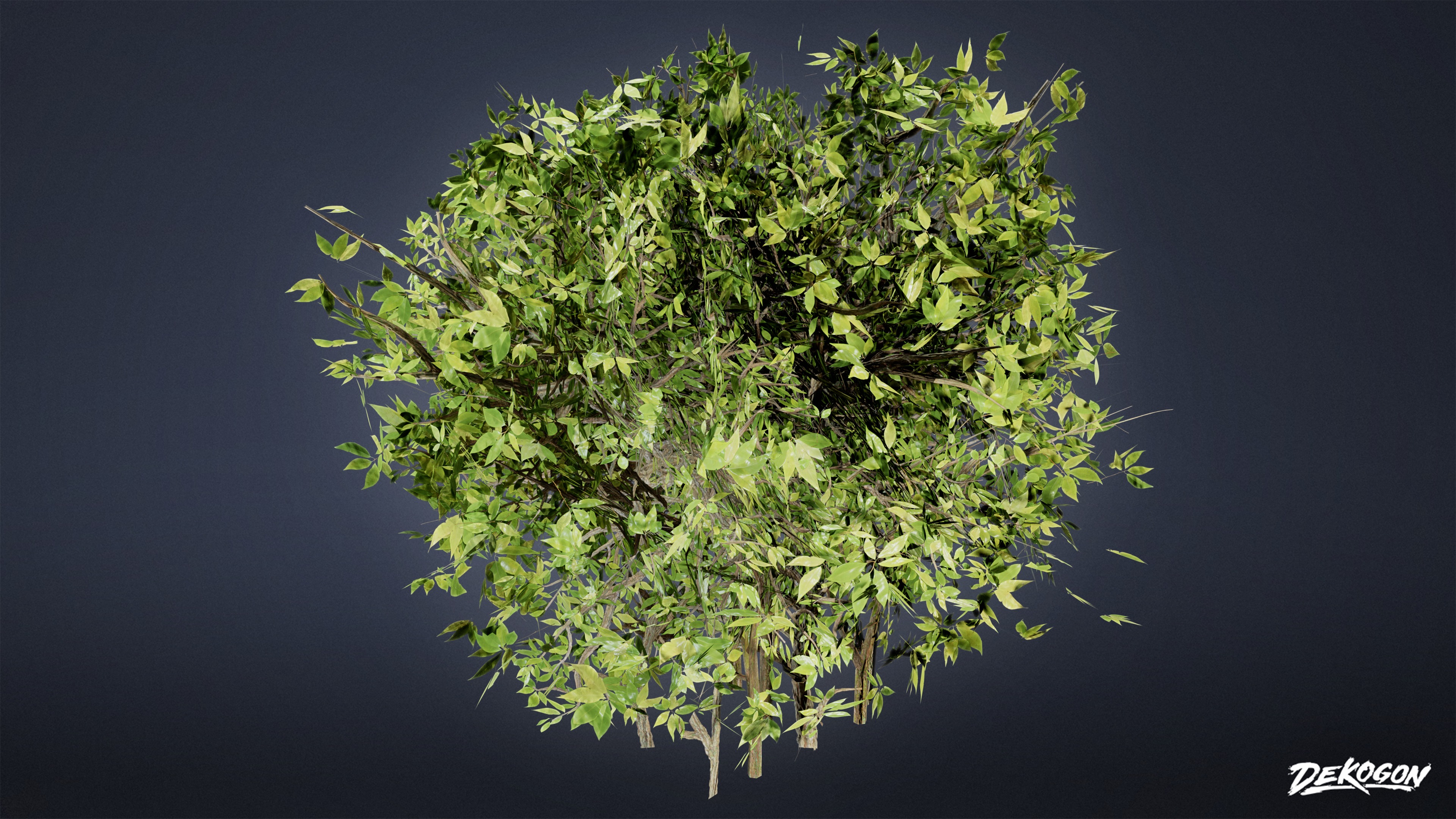 FOLIAGE - Boxwood 01 - LOW POLY Low-poly 3D model_2