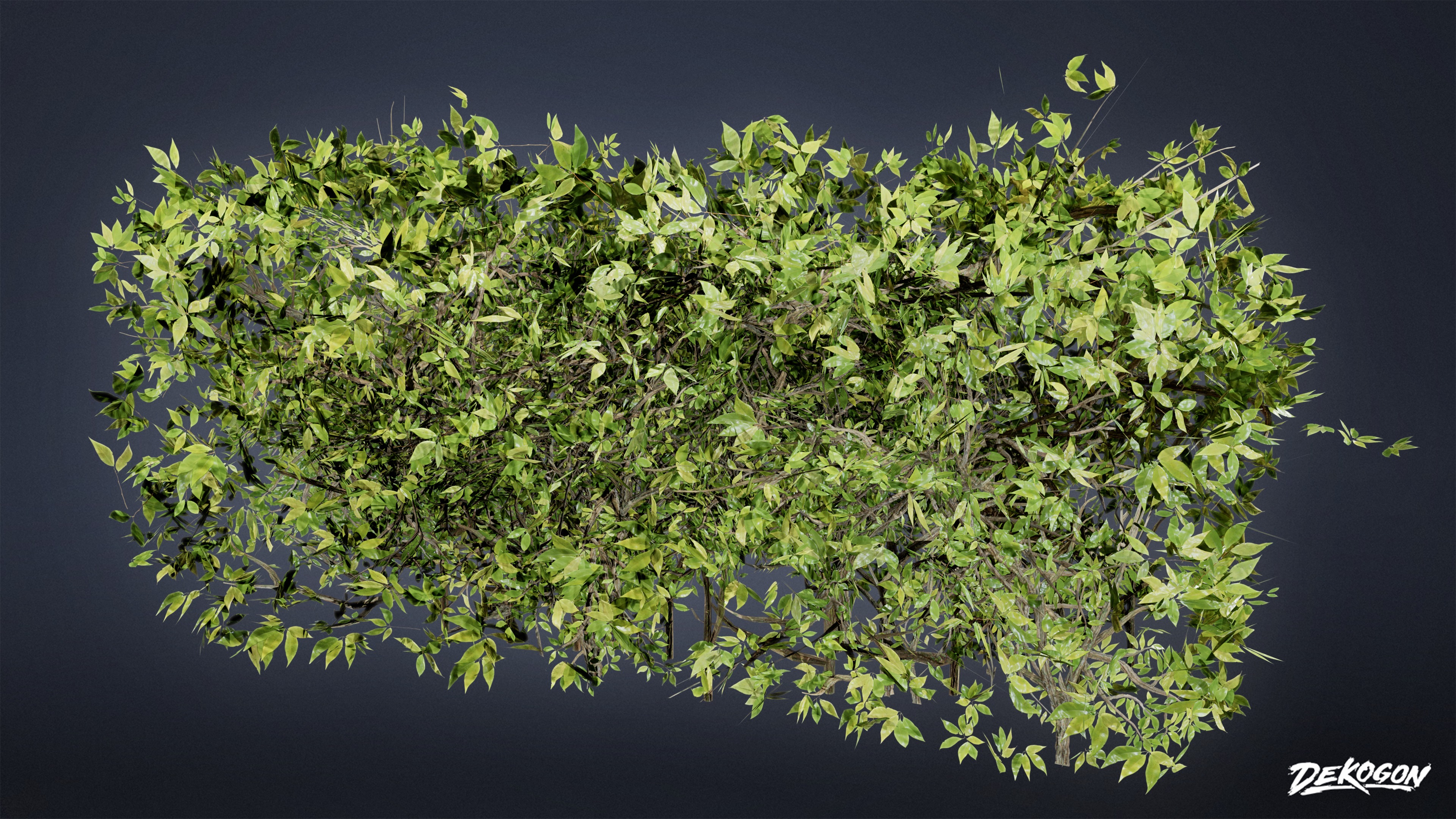 FOLIAGE - Boxwood 01 - LOW POLY Low-poly 3D model_4