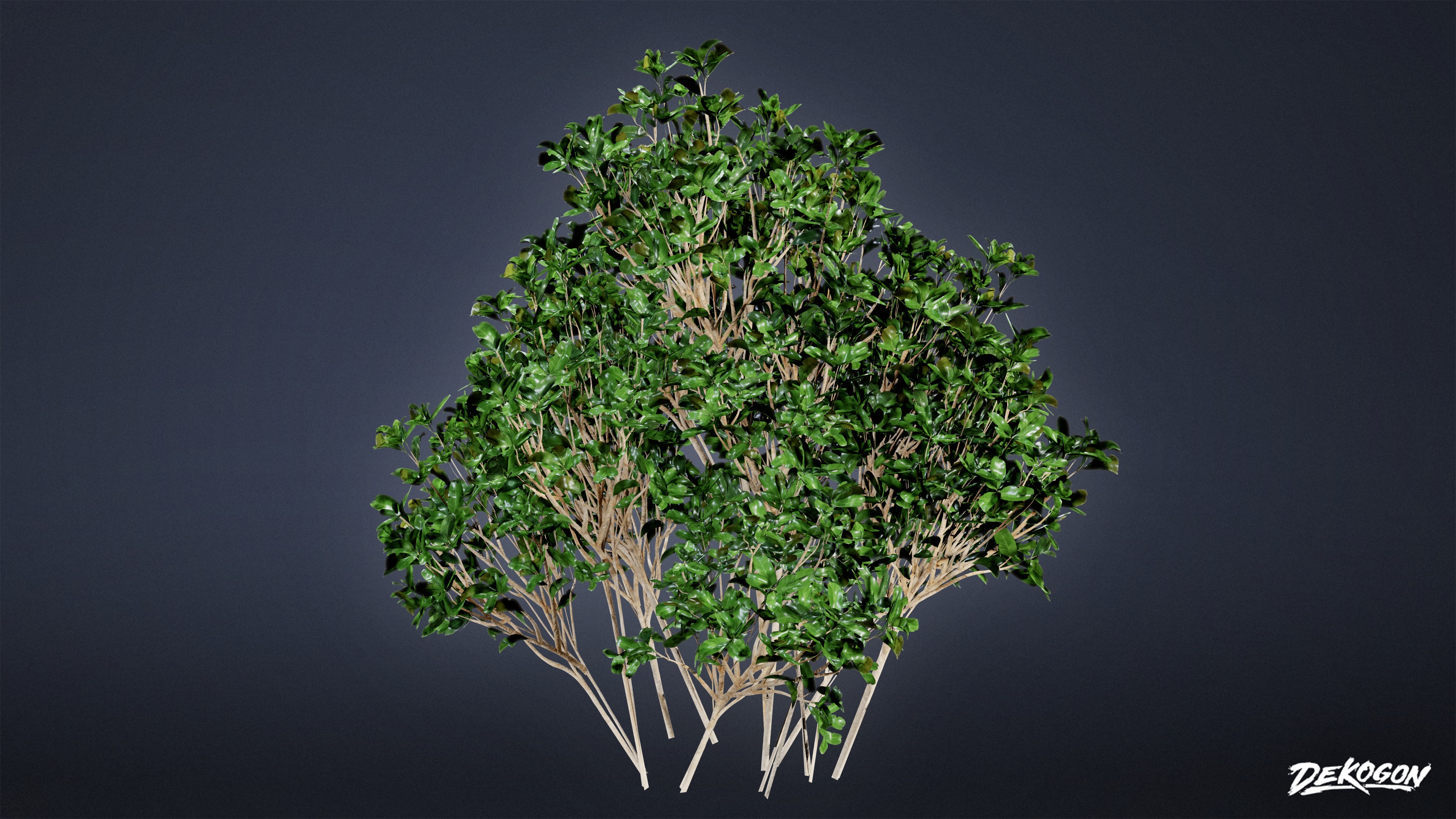 FOLIAGE - Bush Set 02 - LOW POLY Low-poly 3D model_4