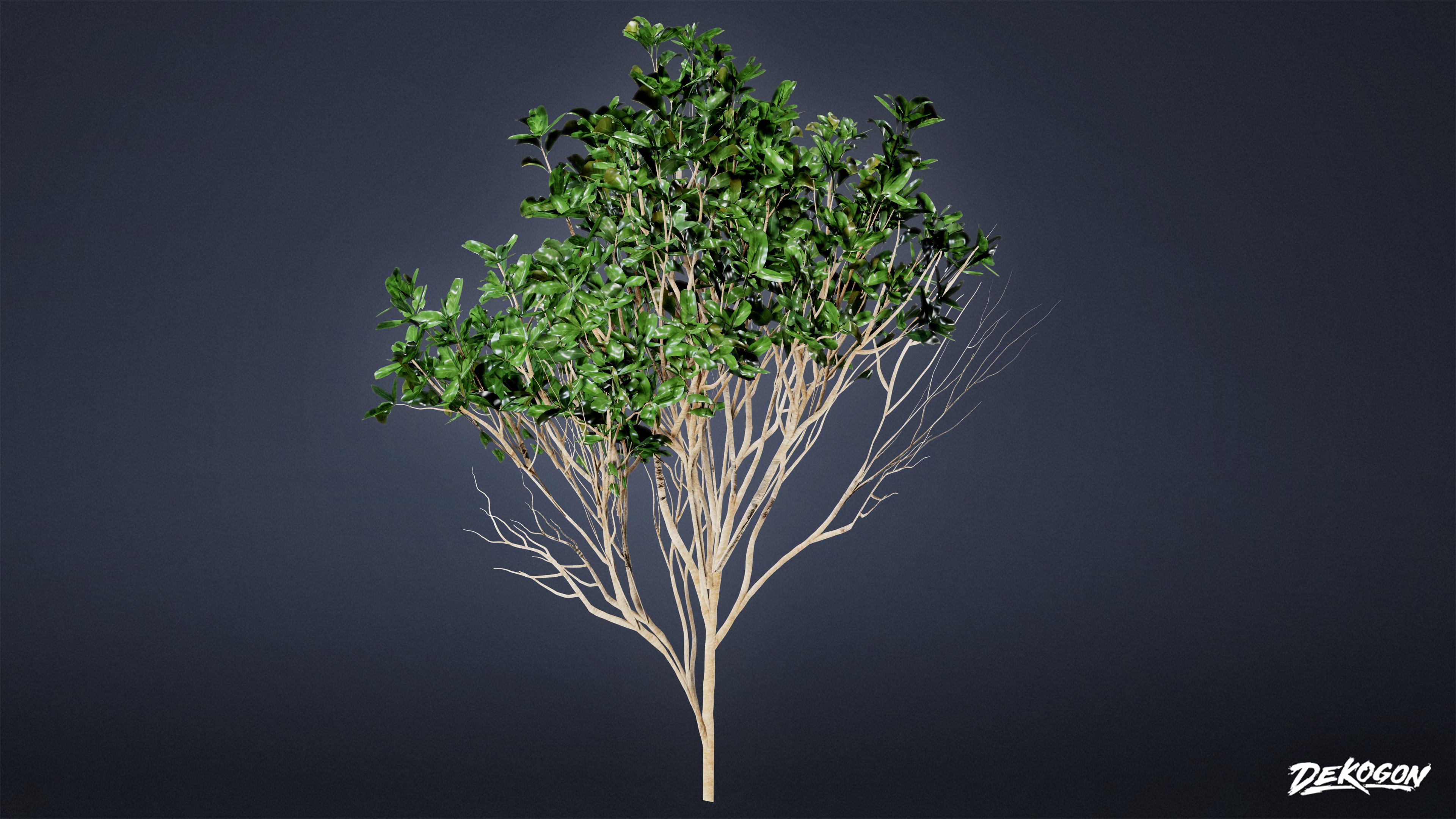 FOLIAGE - Bush Set 02 - LOW POLY Low-poly 3D model_6
