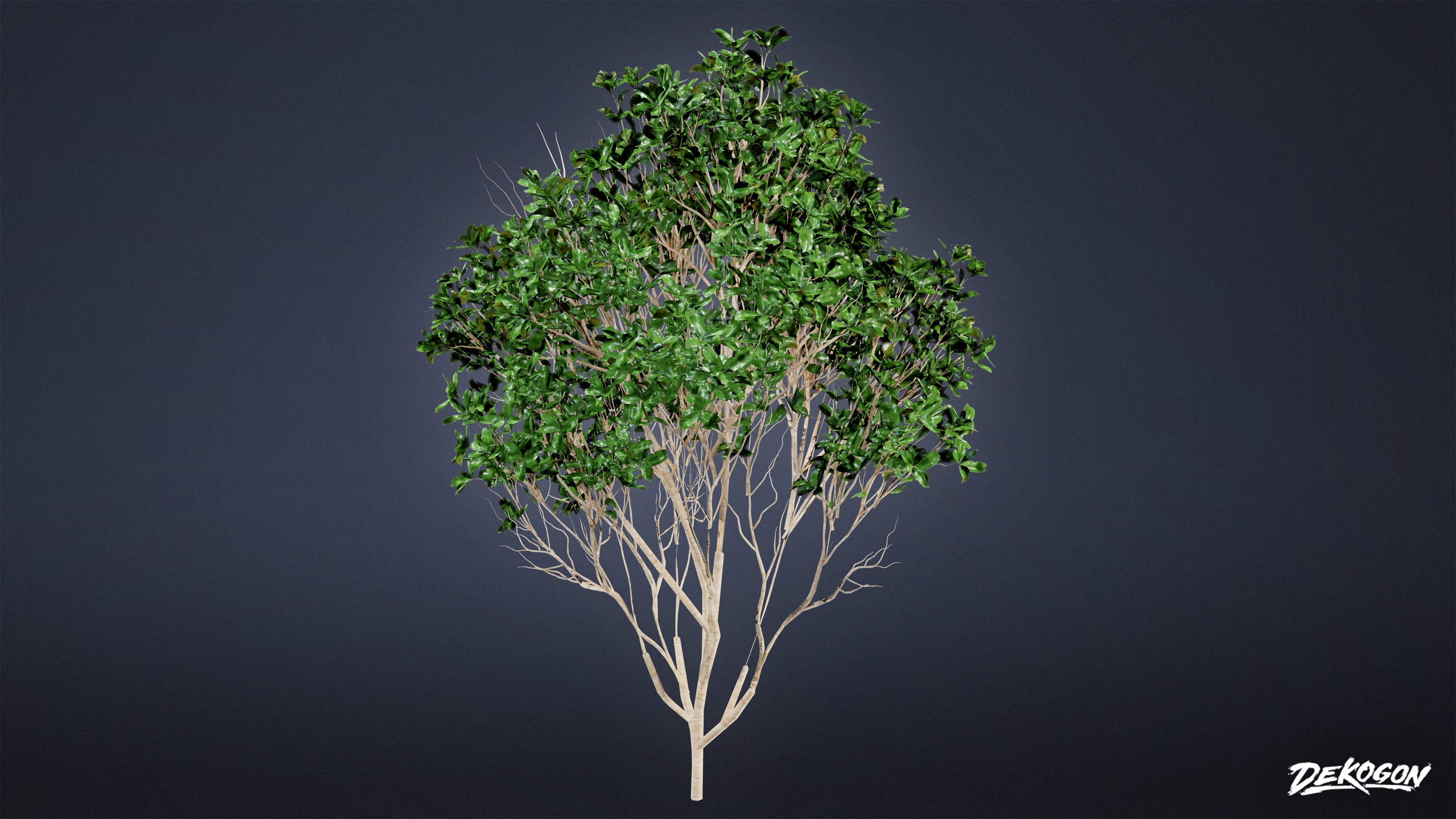 FOLIAGE - Bush Set 02 - LOW POLY Low-poly 3D model_3