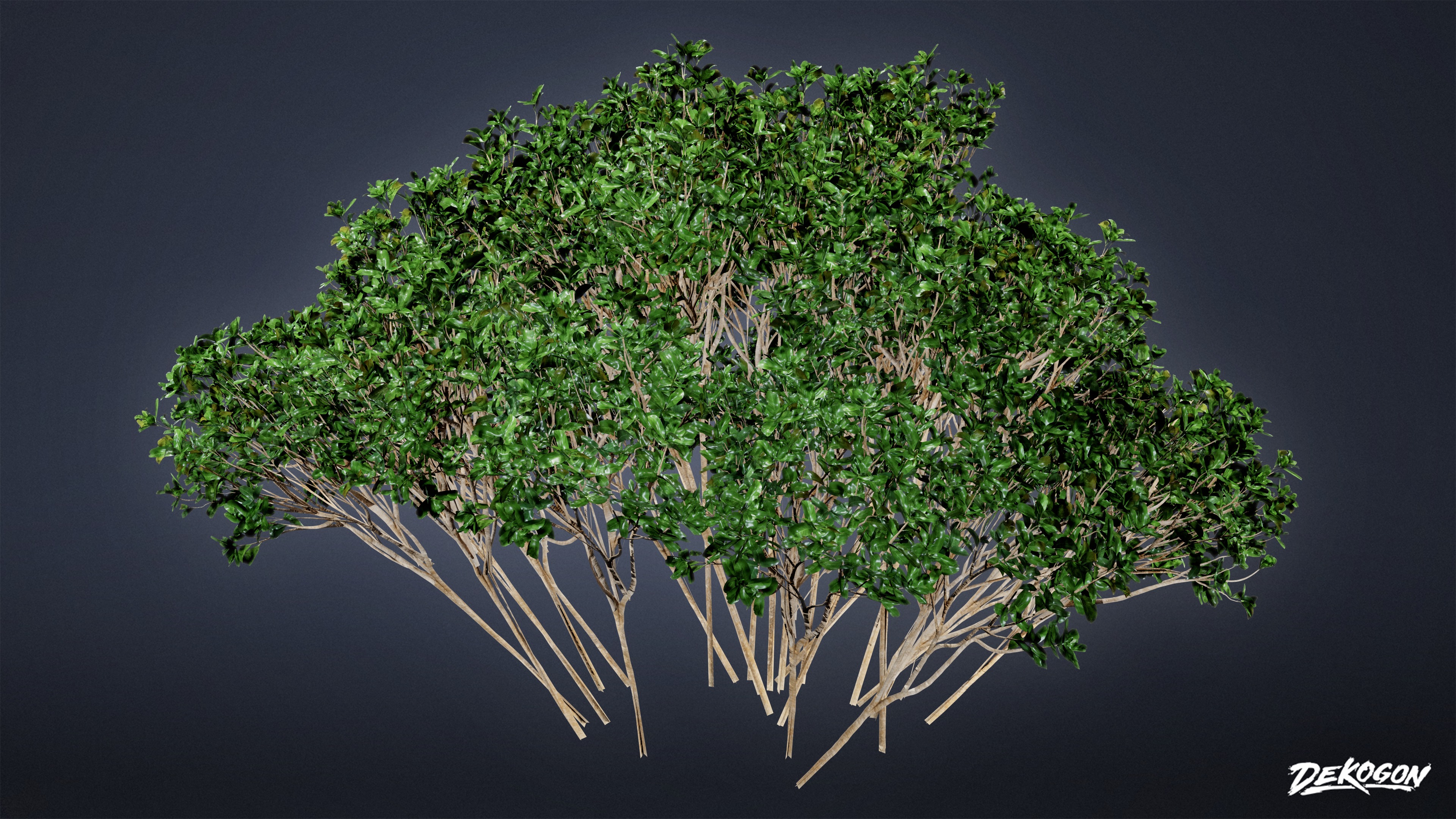 FOLIAGE - Bush Set 02 - LOW POLY Low-poly 3D model_2