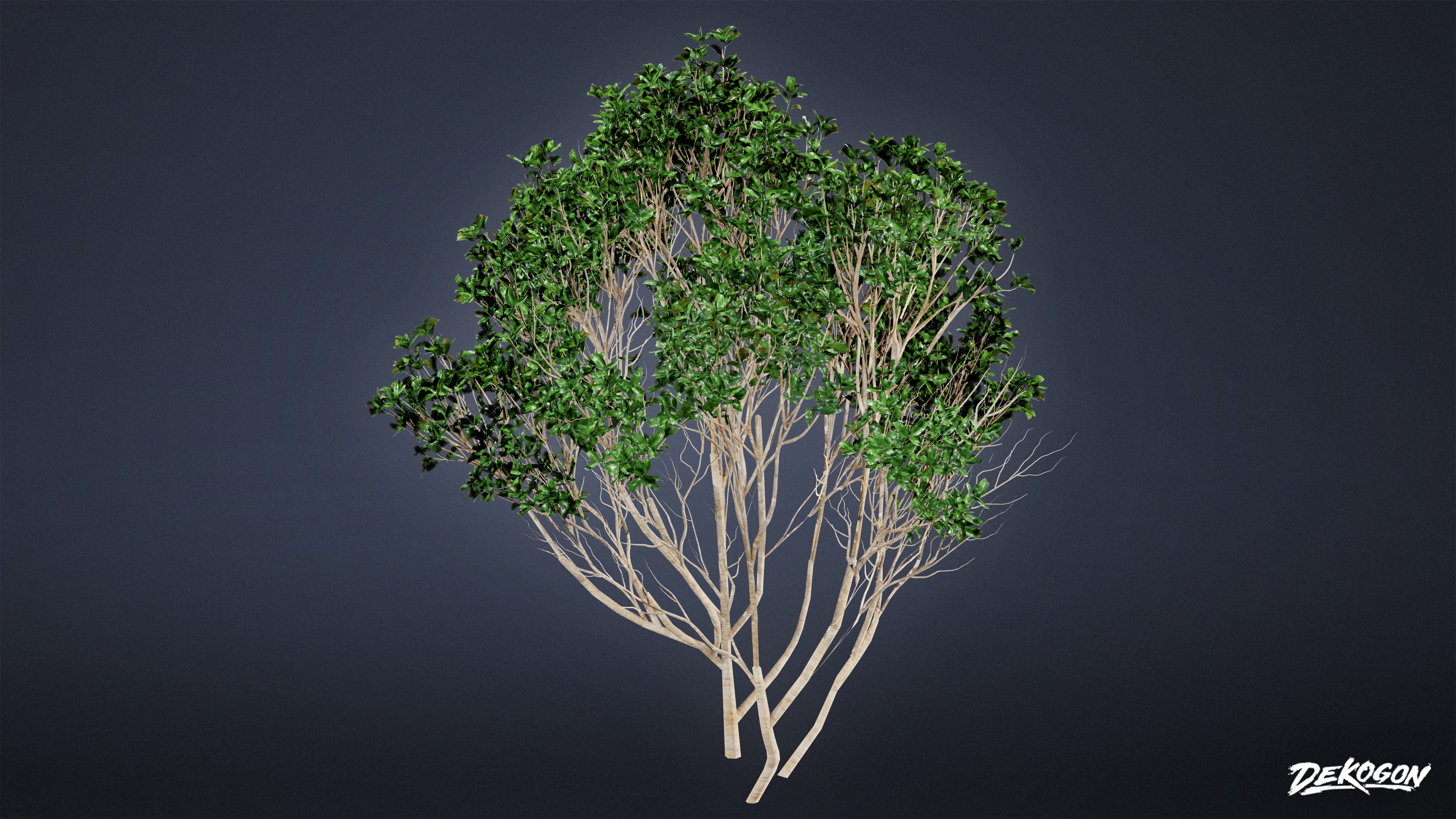 FOLIAGE - Bush Set 02 - LOW POLY Low-poly 3D model_1