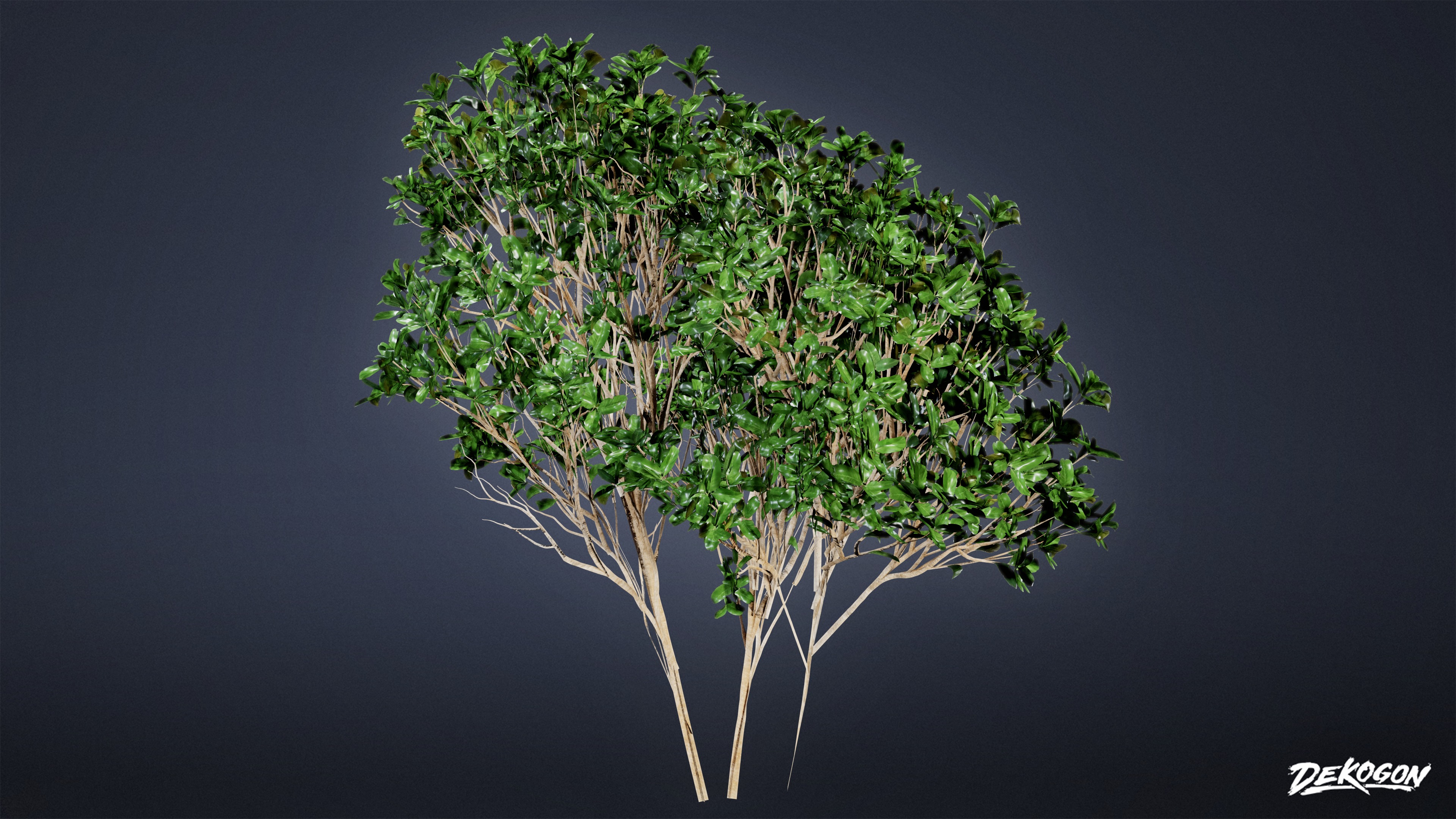 FOLIAGE - Bush Set 02 - LOW POLY Low-poly 3D model_5