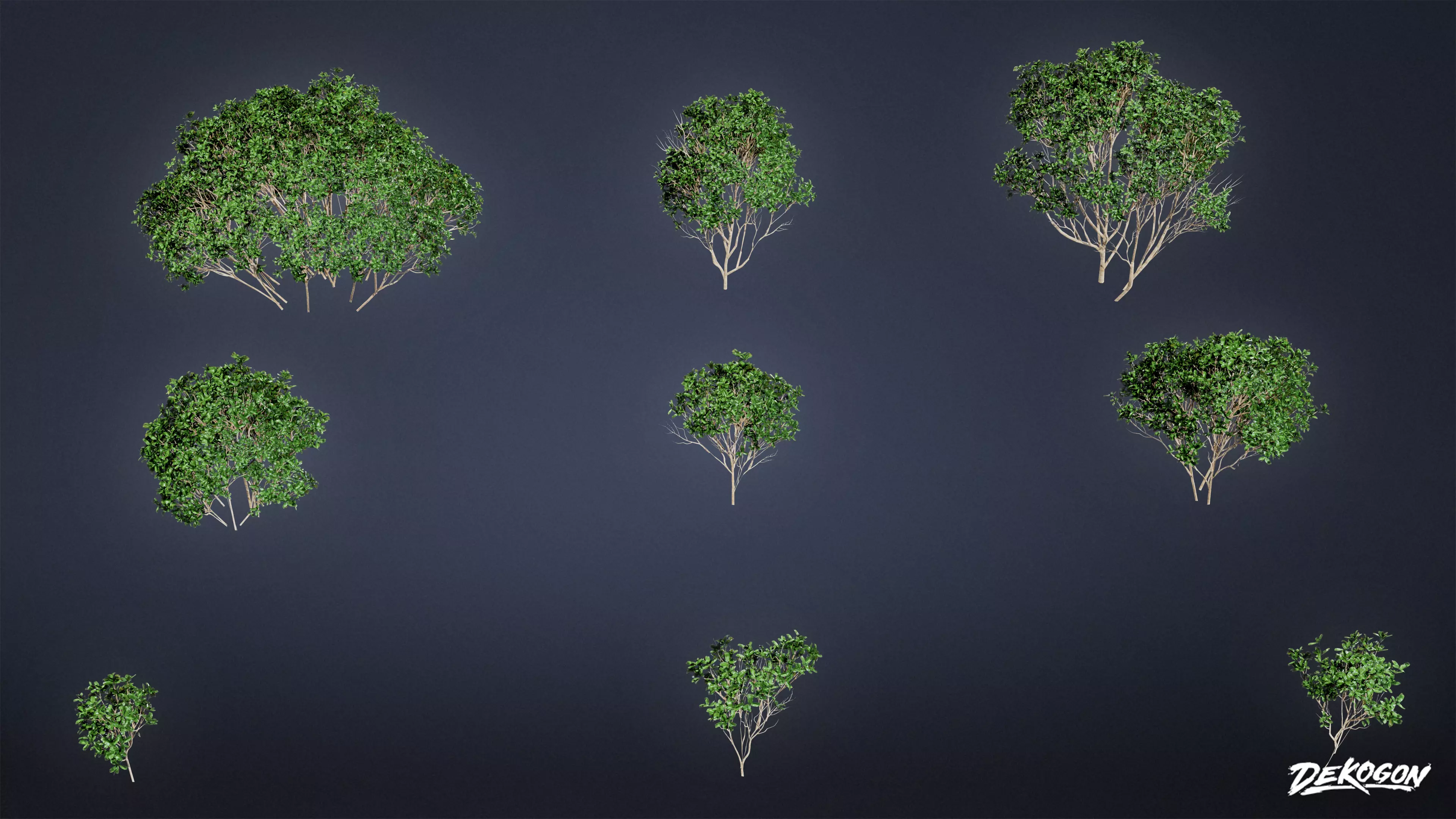 FOLIAGE - Bush Set 02 - LOW POLY Low-poly 3D model_0