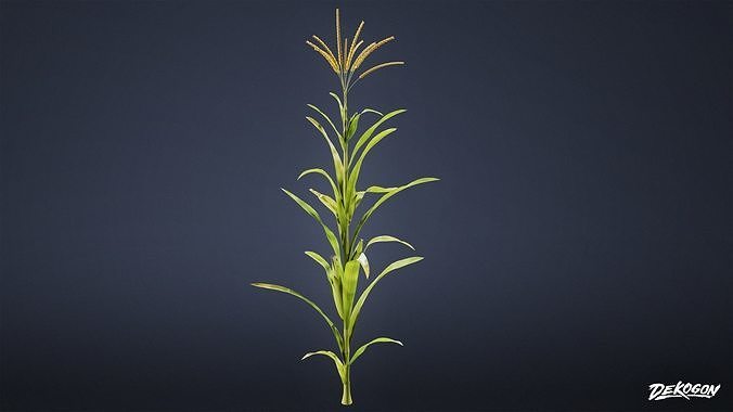 FOLIAGE - Corn 01 - LOW POLY Low-poly 3D model 6