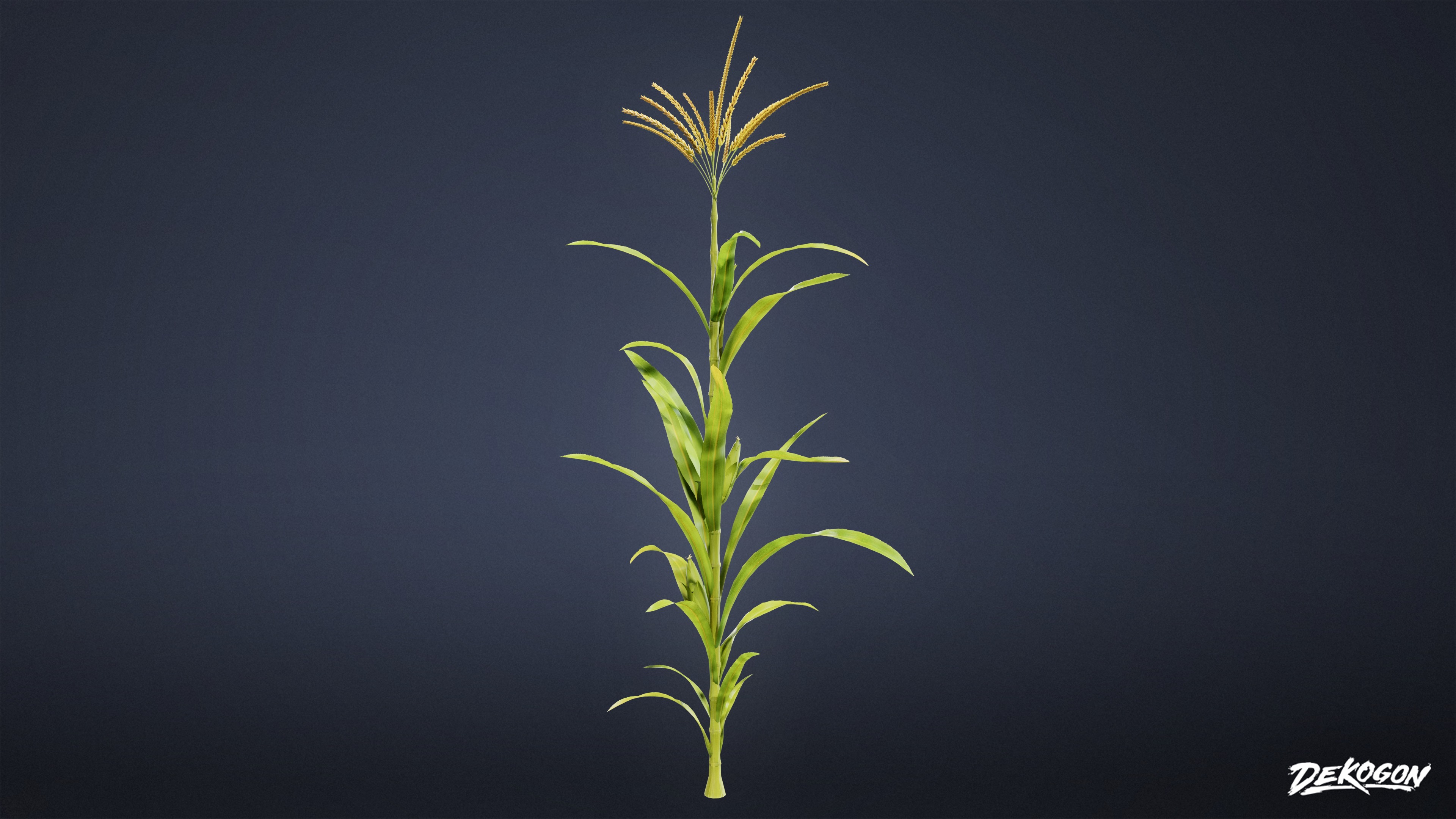 FOLIAGE - Corn 01 - LOW POLY Low-poly 3D model_4