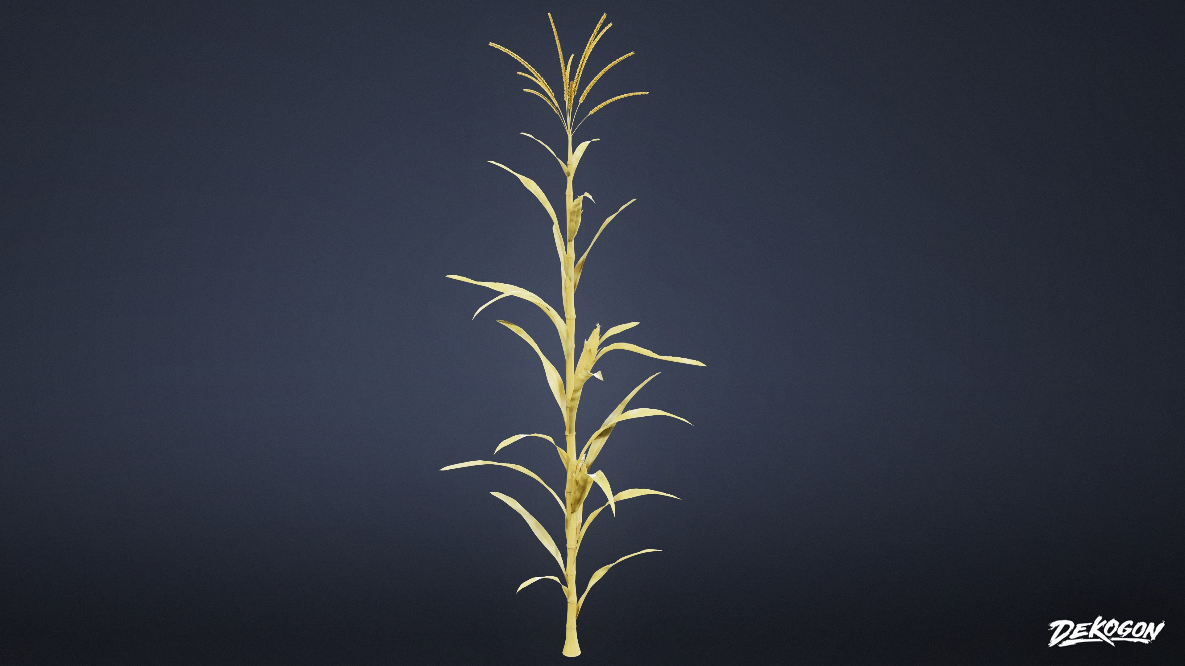 FOLIAGE - Corn 01 - LOW POLY Low-poly 3D model_1