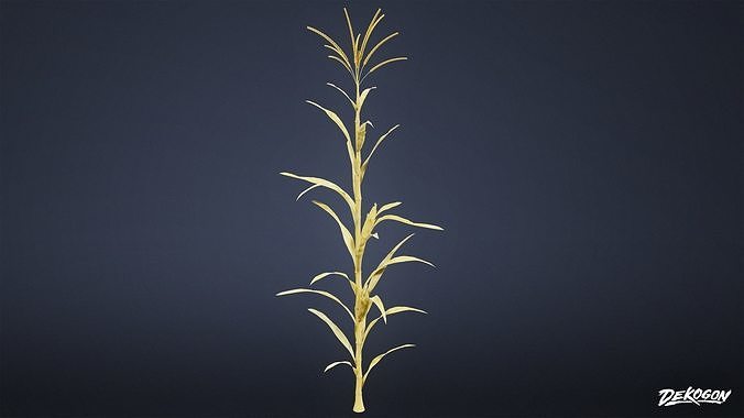 FOLIAGE - Corn 01 - LOW POLY Low-poly 3D model 2