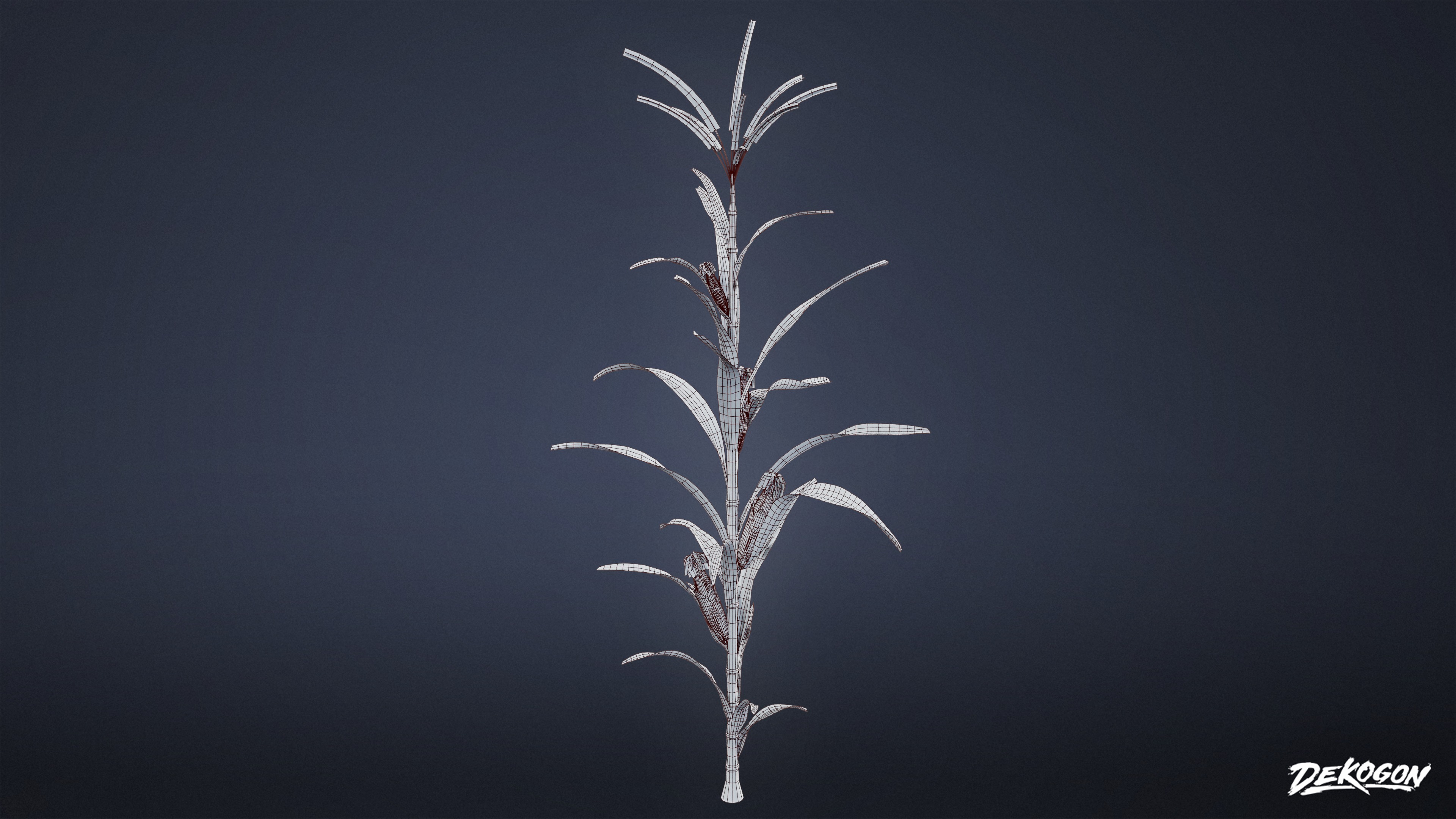 FOLIAGE - Corn 01 - LOW POLY Low-poly 3D model_9