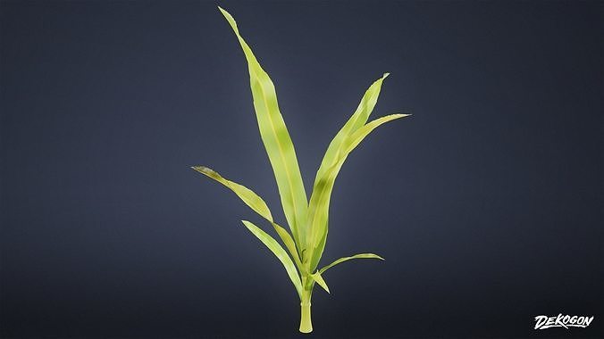 FOLIAGE - Corn 01 - LOW POLY Low-poly 3D model 7