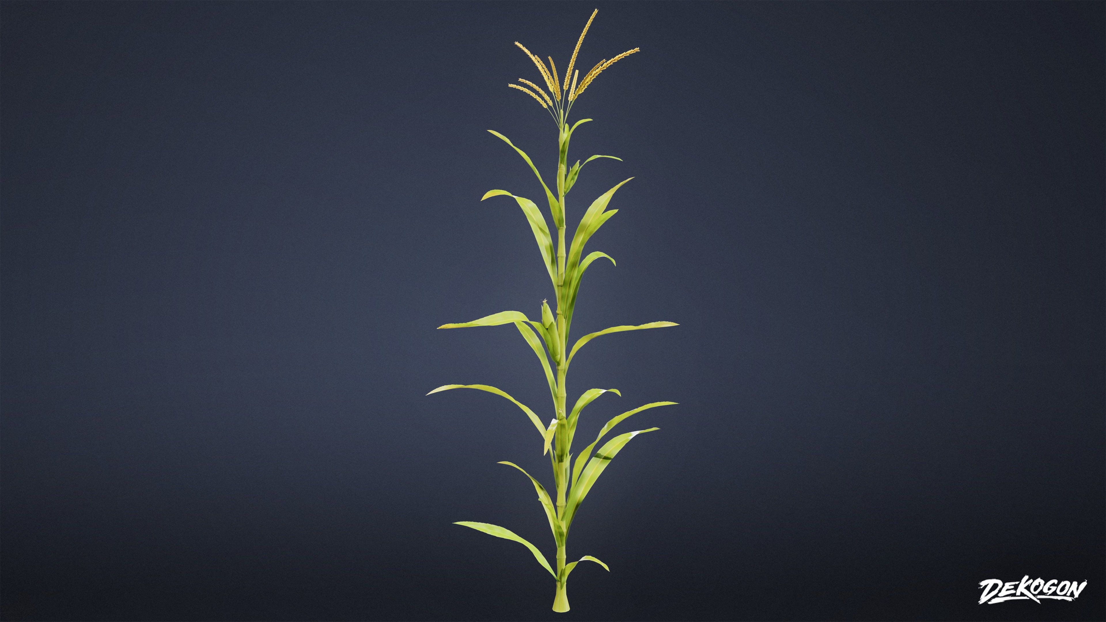 FOLIAGE - Corn 01 - LOW POLY Low-poly 3D model_3