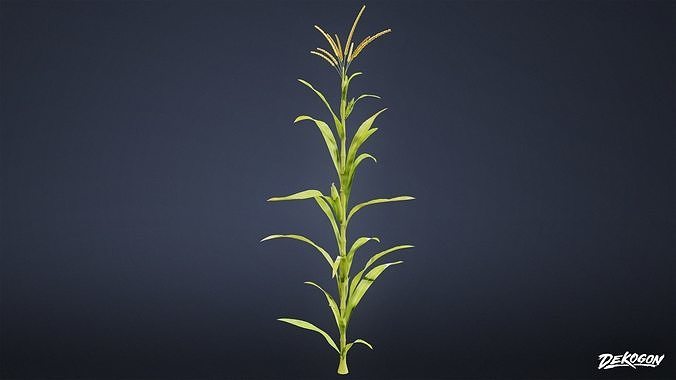 FOLIAGE - Corn 01 - LOW POLY Low-poly 3D model 4