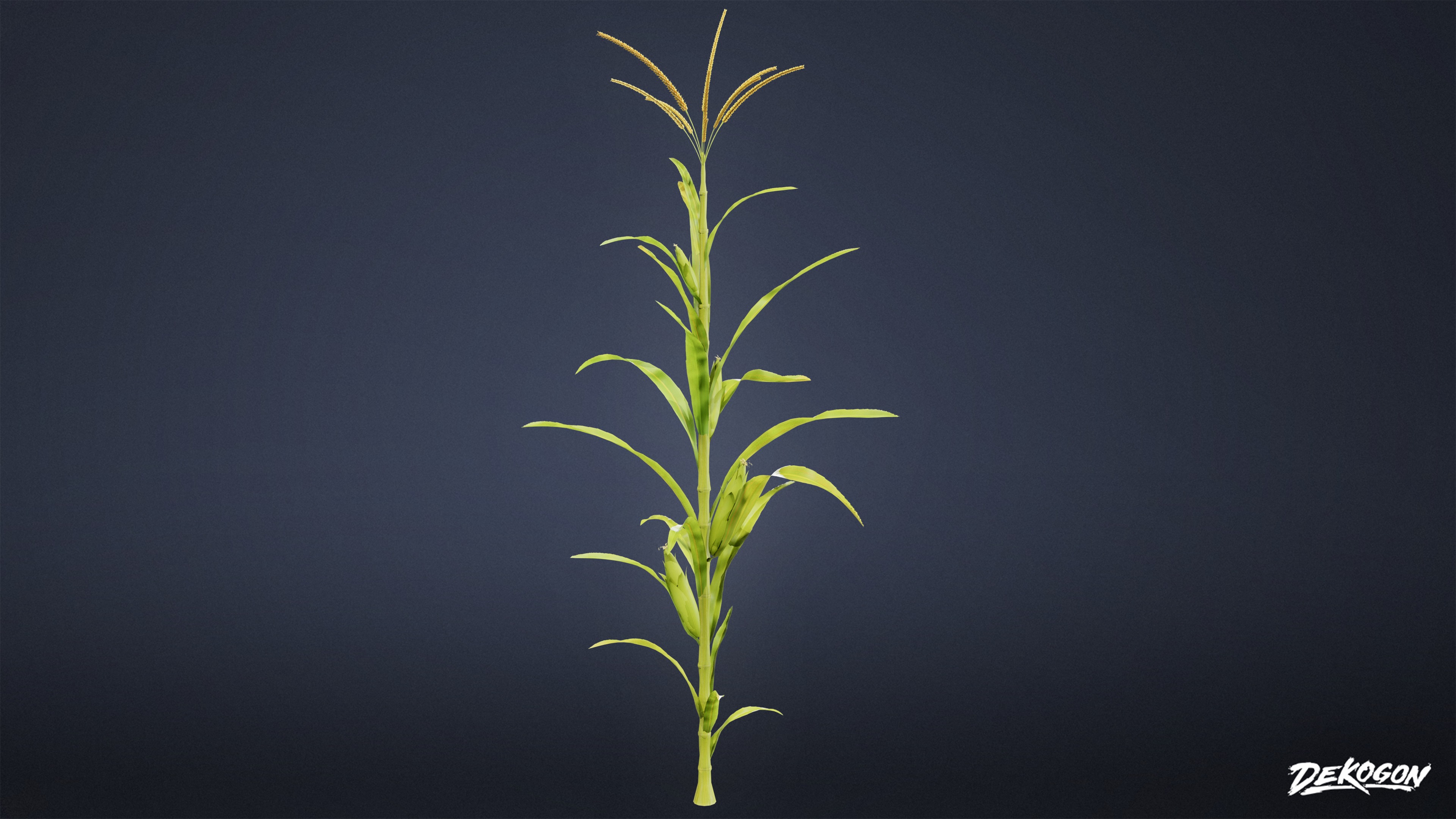 FOLIAGE - Corn 01 - LOW POLY Low-poly 3D model_2