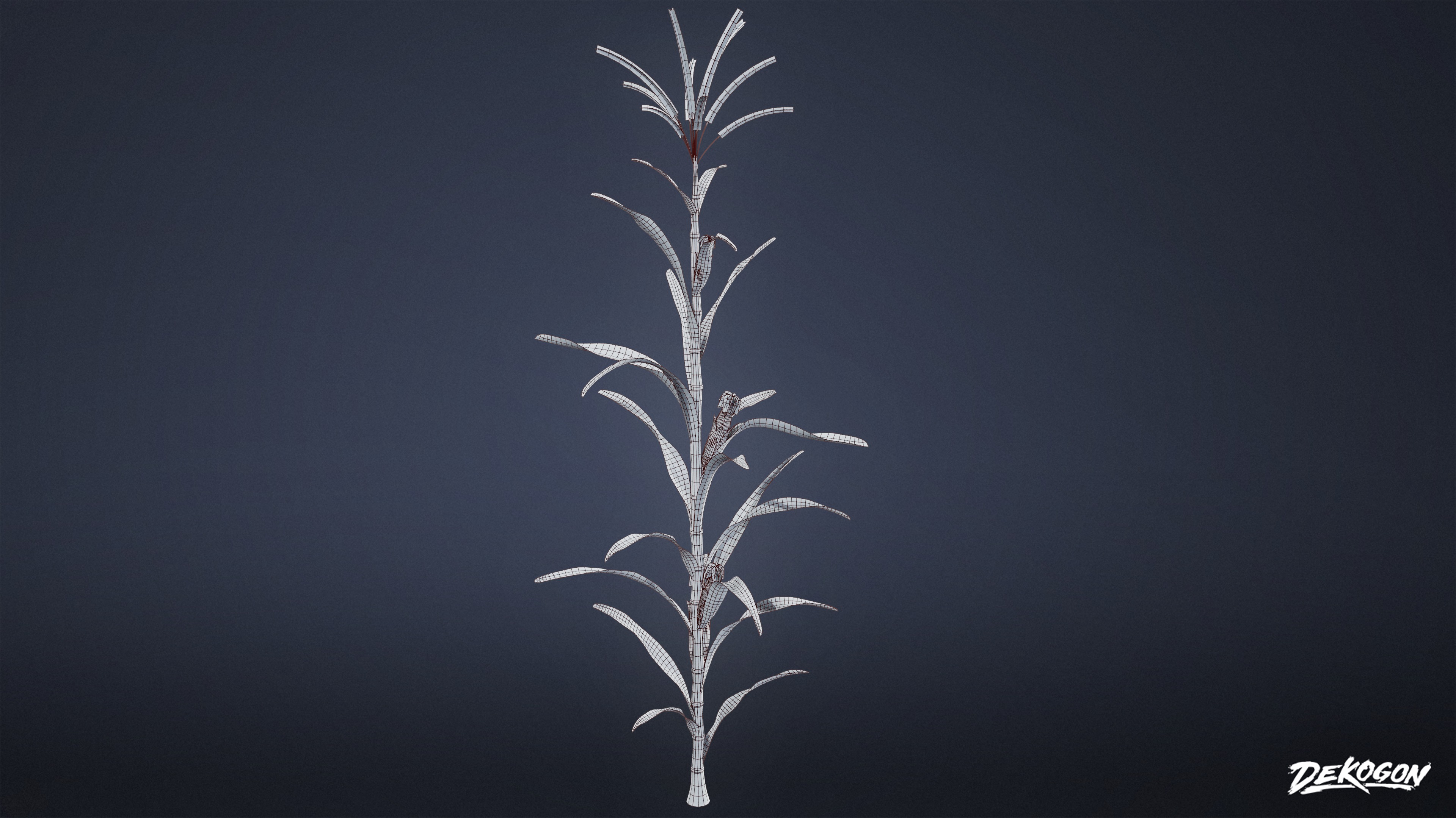 FOLIAGE - Corn 01 - LOW POLY Low-poly 3D model_8
