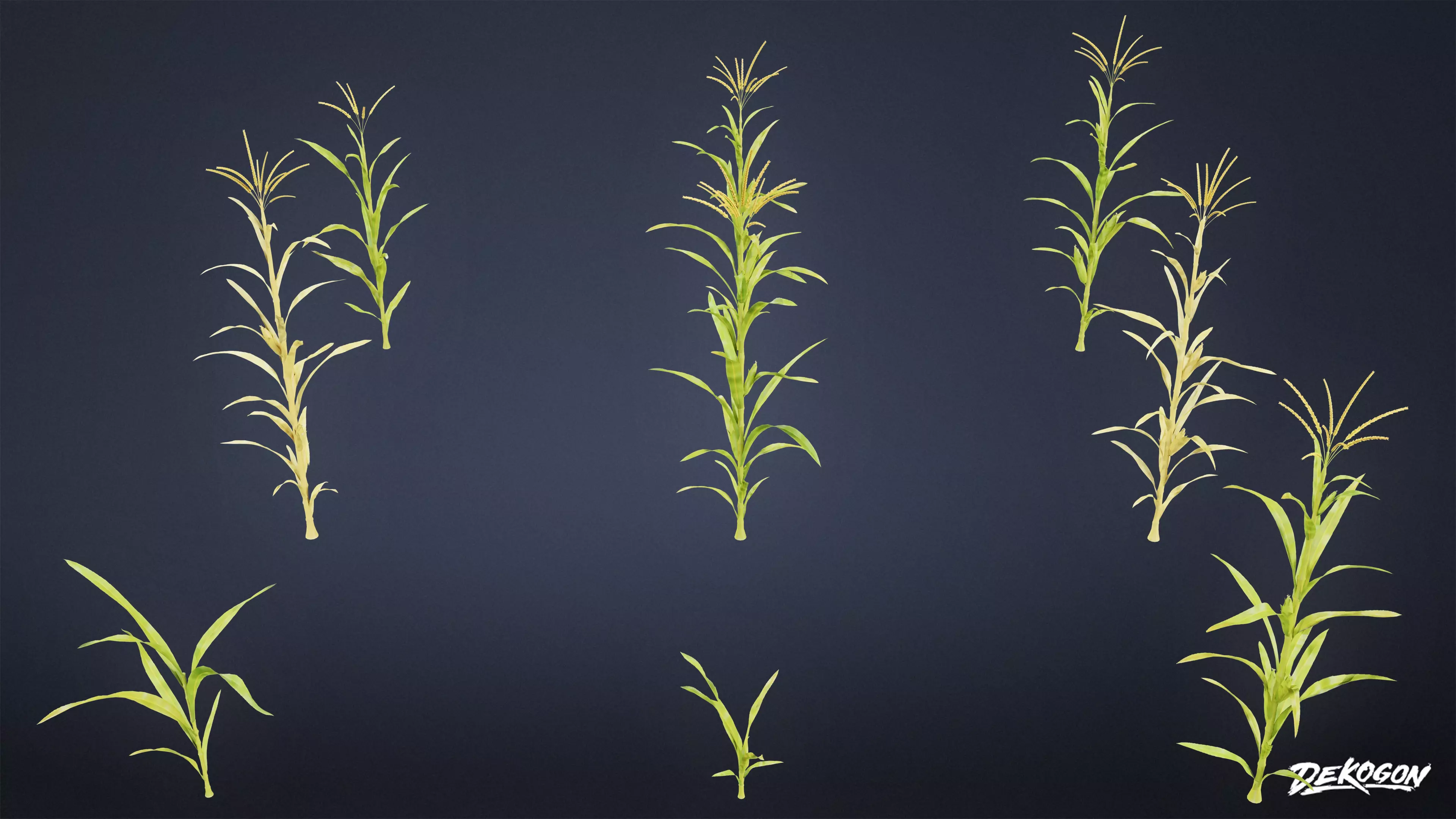 FOLIAGE - Corn 01 - LOW POLY Low-poly 3D model_0