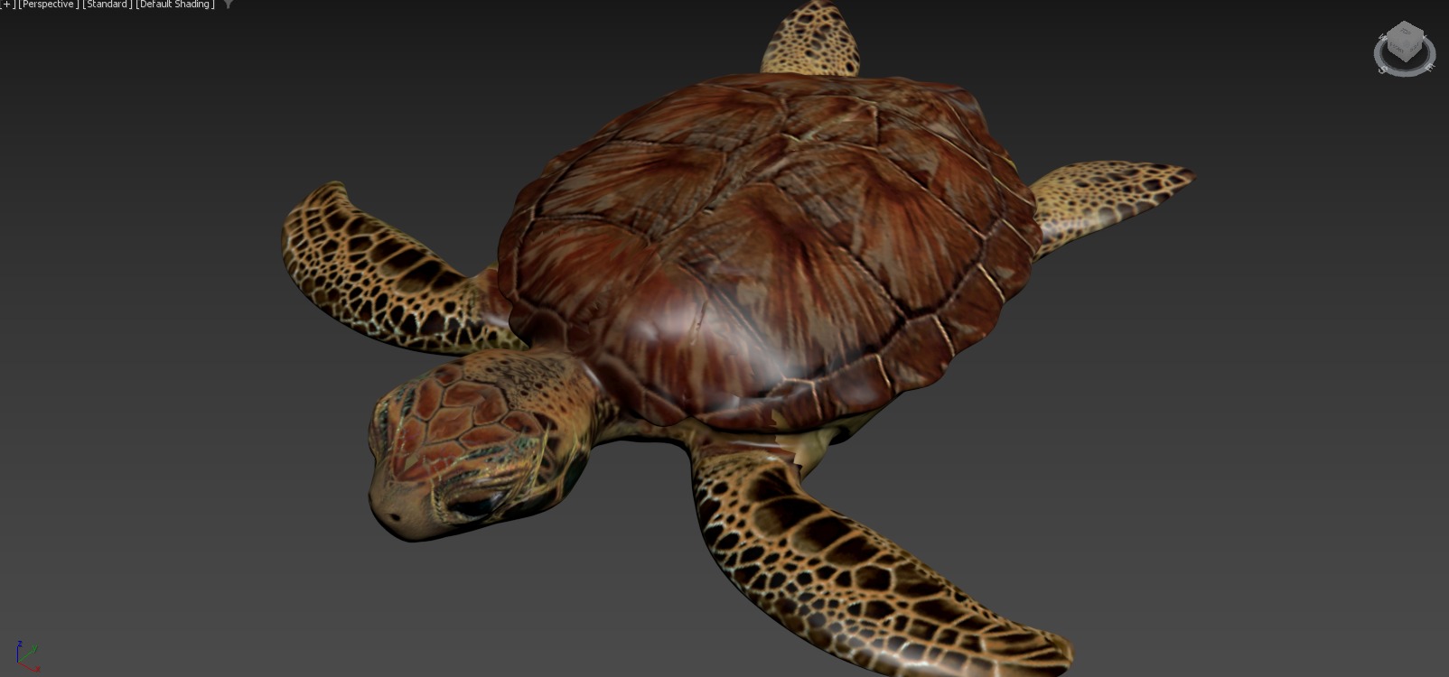 Moana Collection 20 Characters to Print 3D 3D print model_89