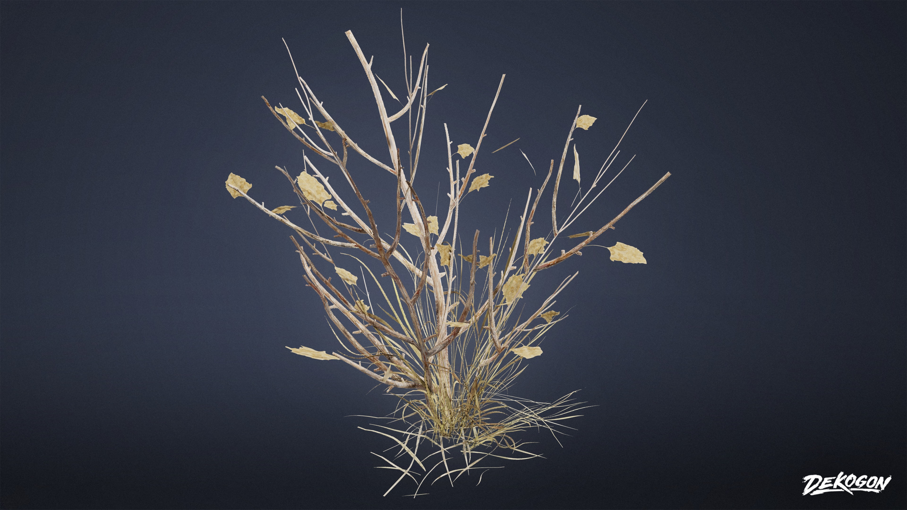 FOLIAGE - Dead Plants 01 - LOW POLY Low-poly 3D model_1