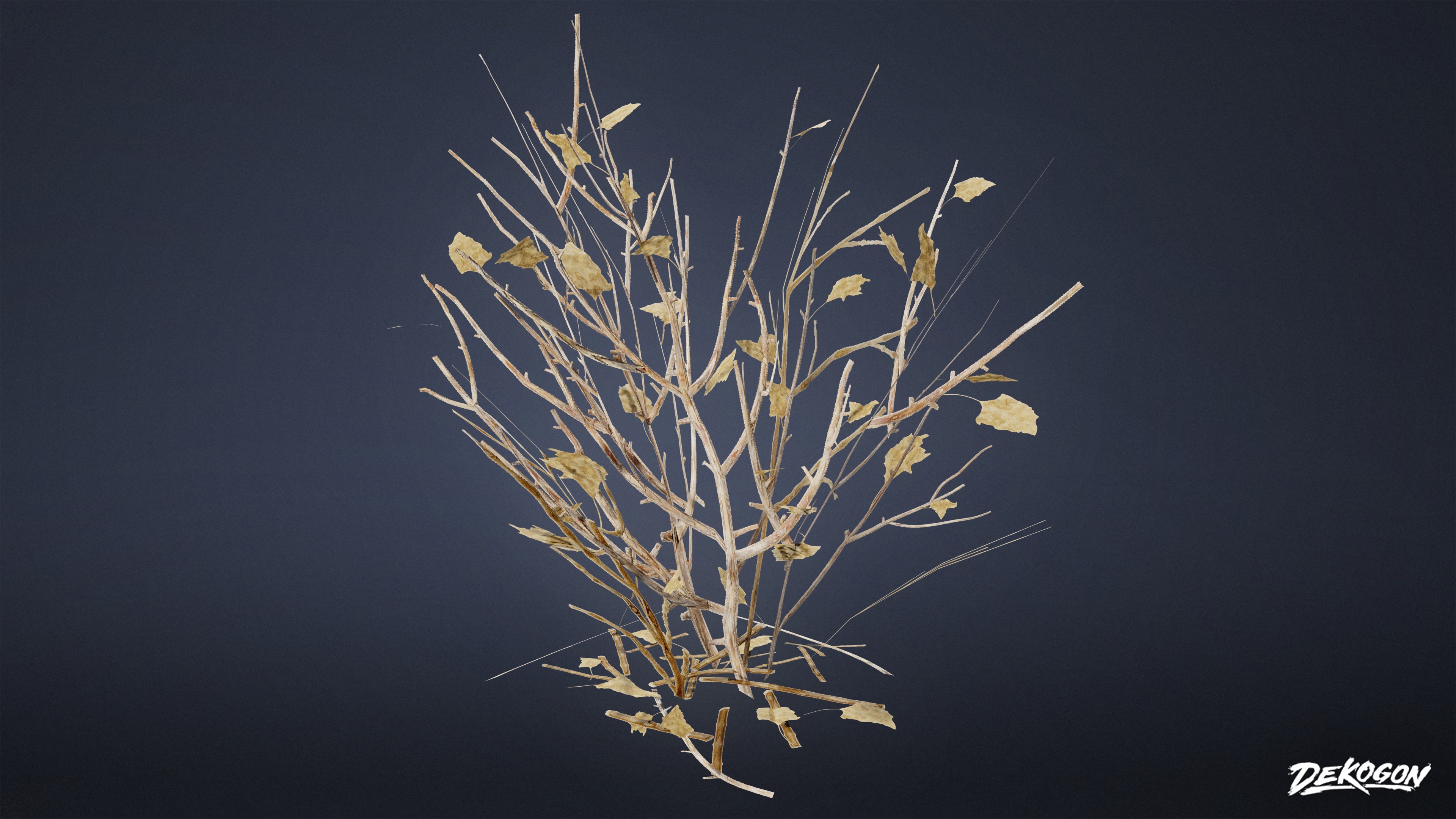 FOLIAGE - Dead Plants 01 - LOW POLY Low-poly 3D model_4