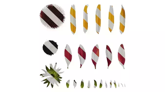 Anydrafts Echinacea purpurea Flower 09