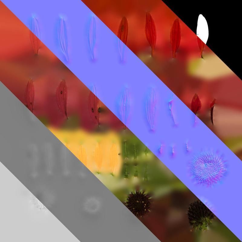 Anydrafts Echinacea purpurea Flower 11 Texture_8