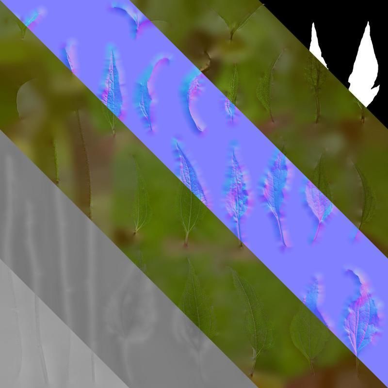 Anydrafts Echinacea purpurea Leaf 01 Texture_8